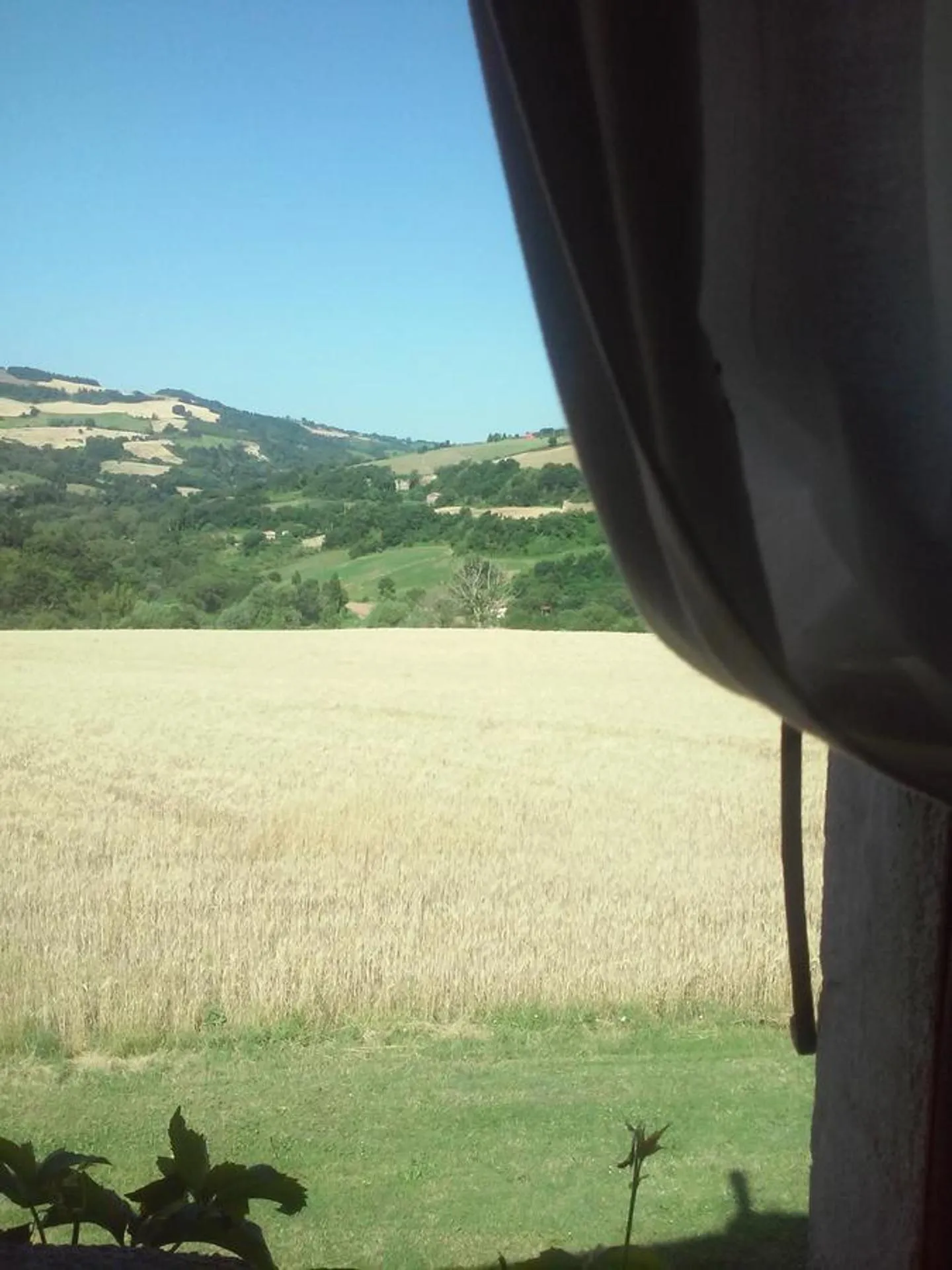 Garden in Le Bumbarelle