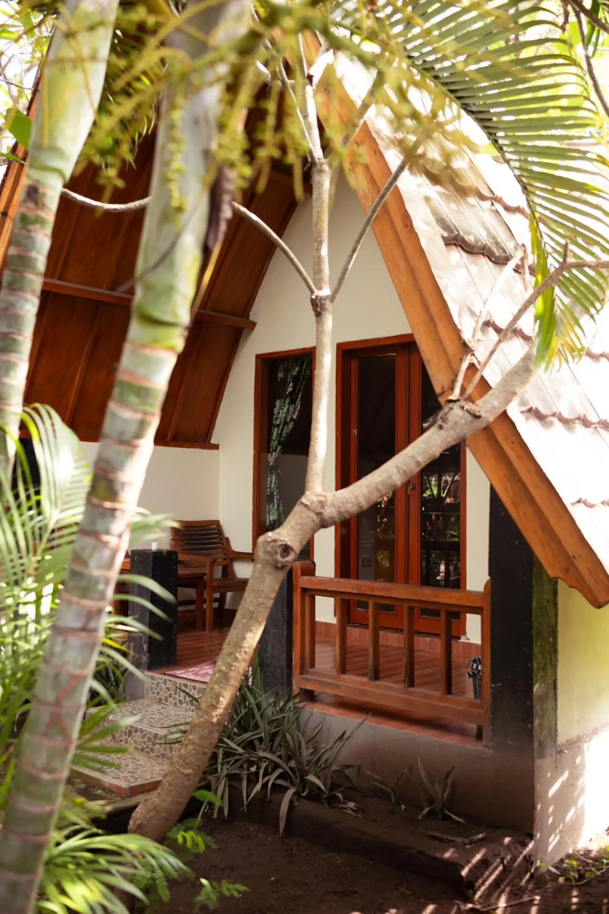 Florine's Garden Florine's Garden