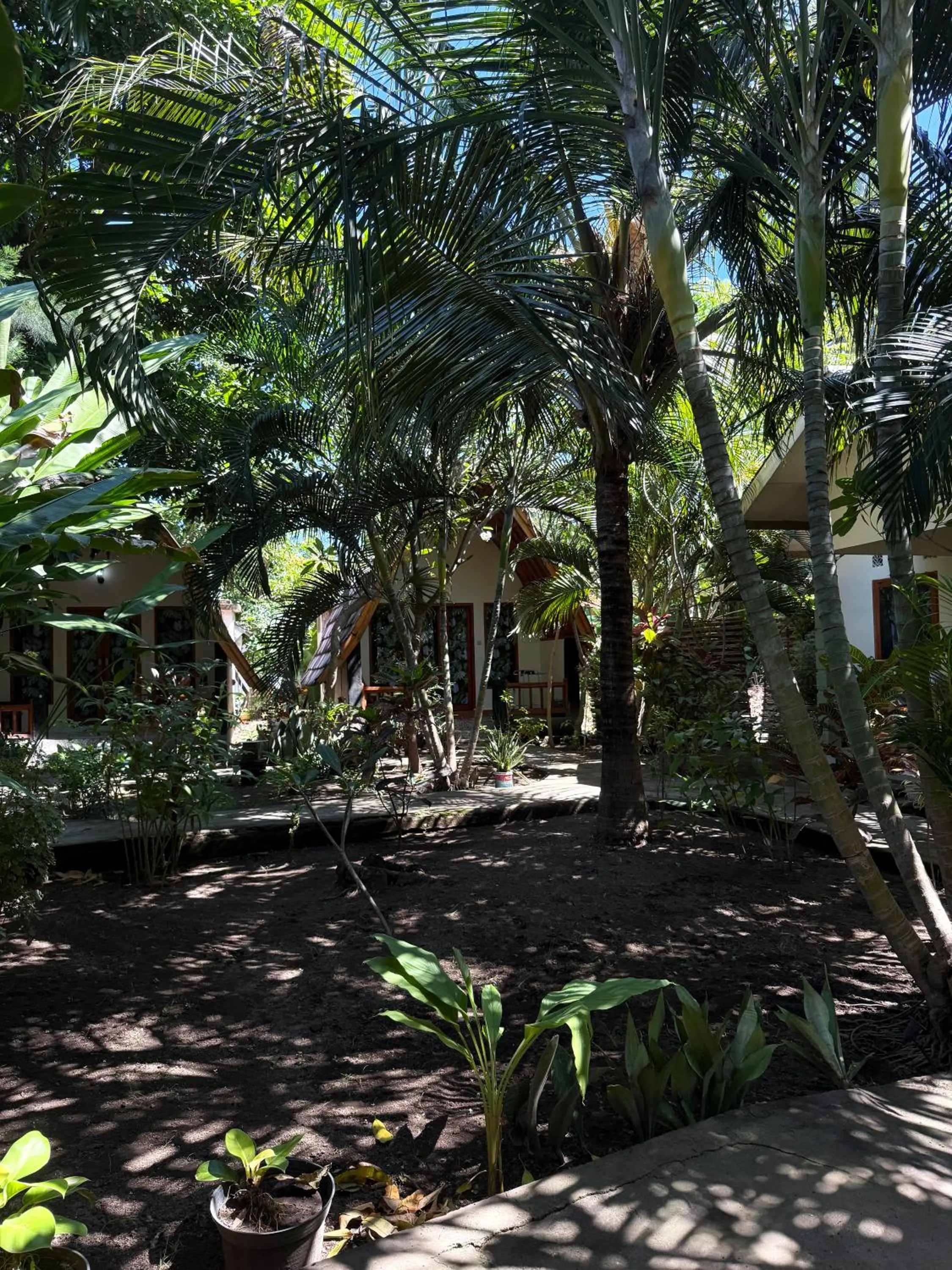 Garden view in Florine's Garden