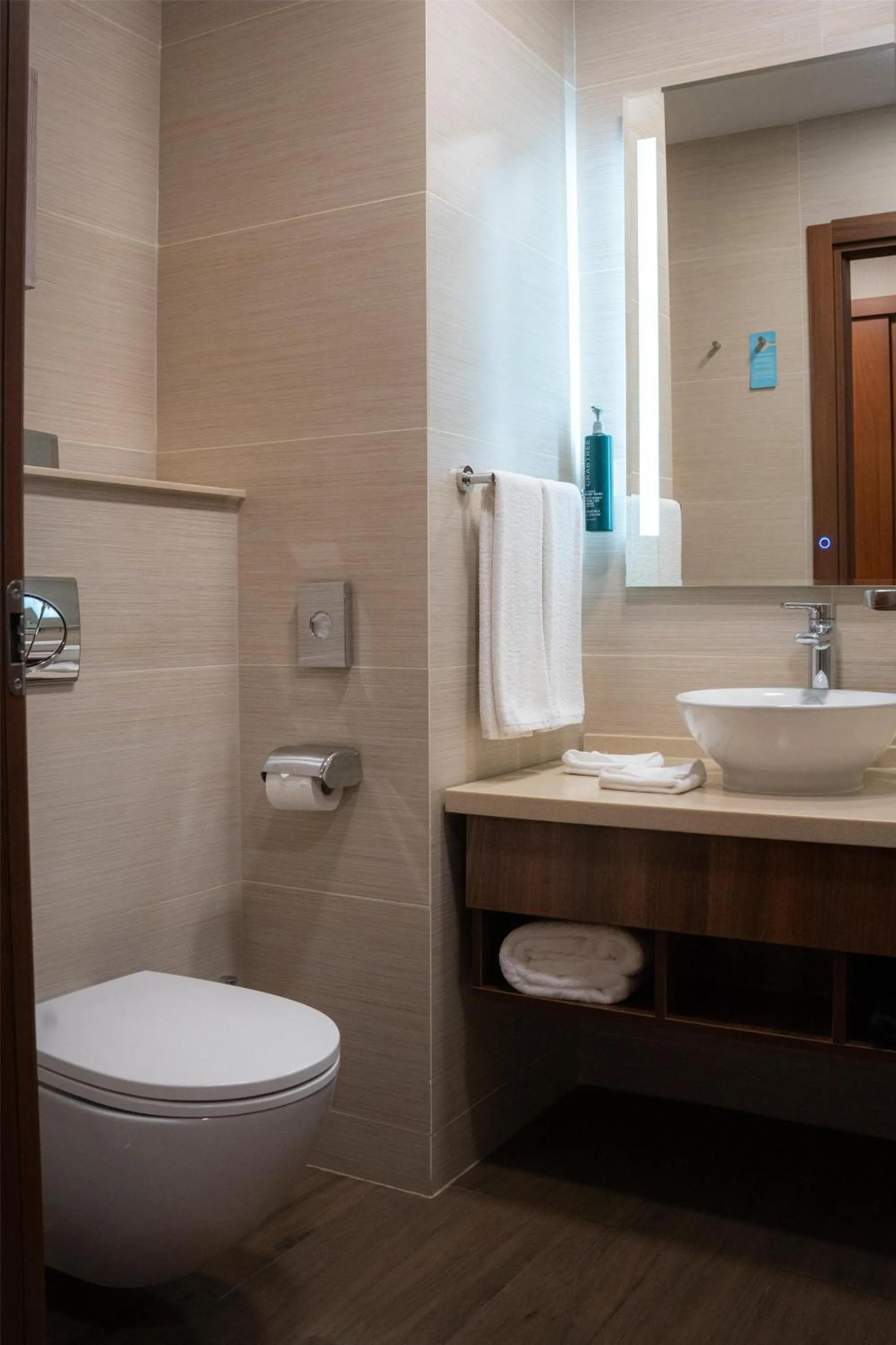 Bathroom in Hilton Garden Inn Astana