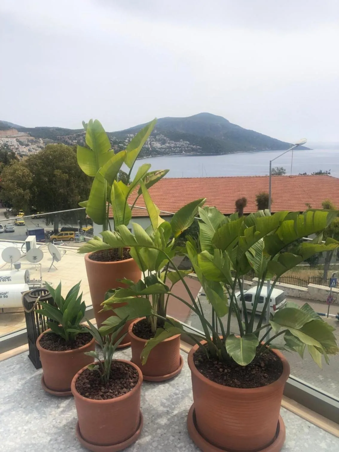 Sea view in Samira Exclusive Hotel & Apartments
