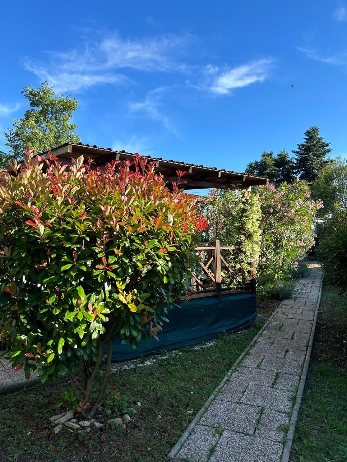 Camping Media Mobile Homes in Brioni Sunny Camping