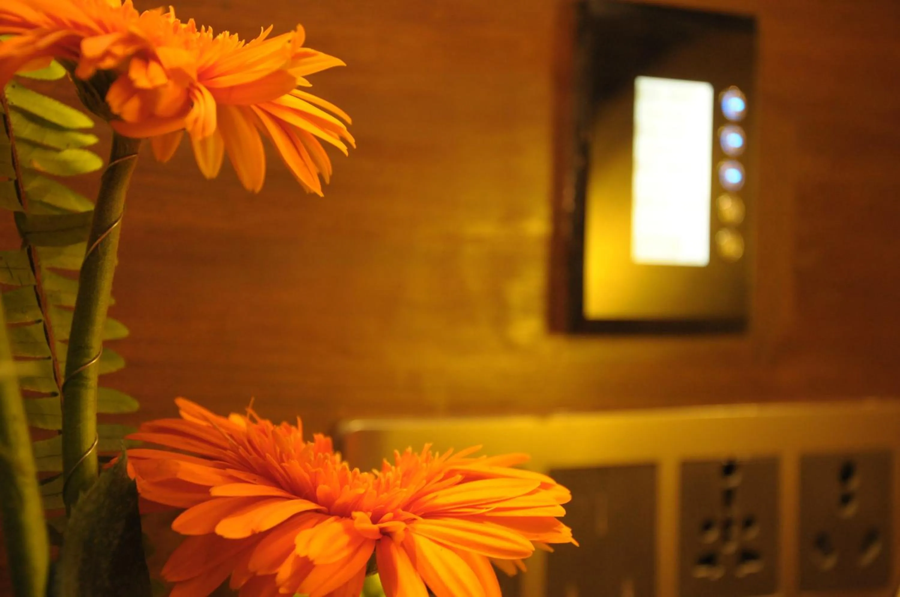 Decorative detail in The Alcor Hotel