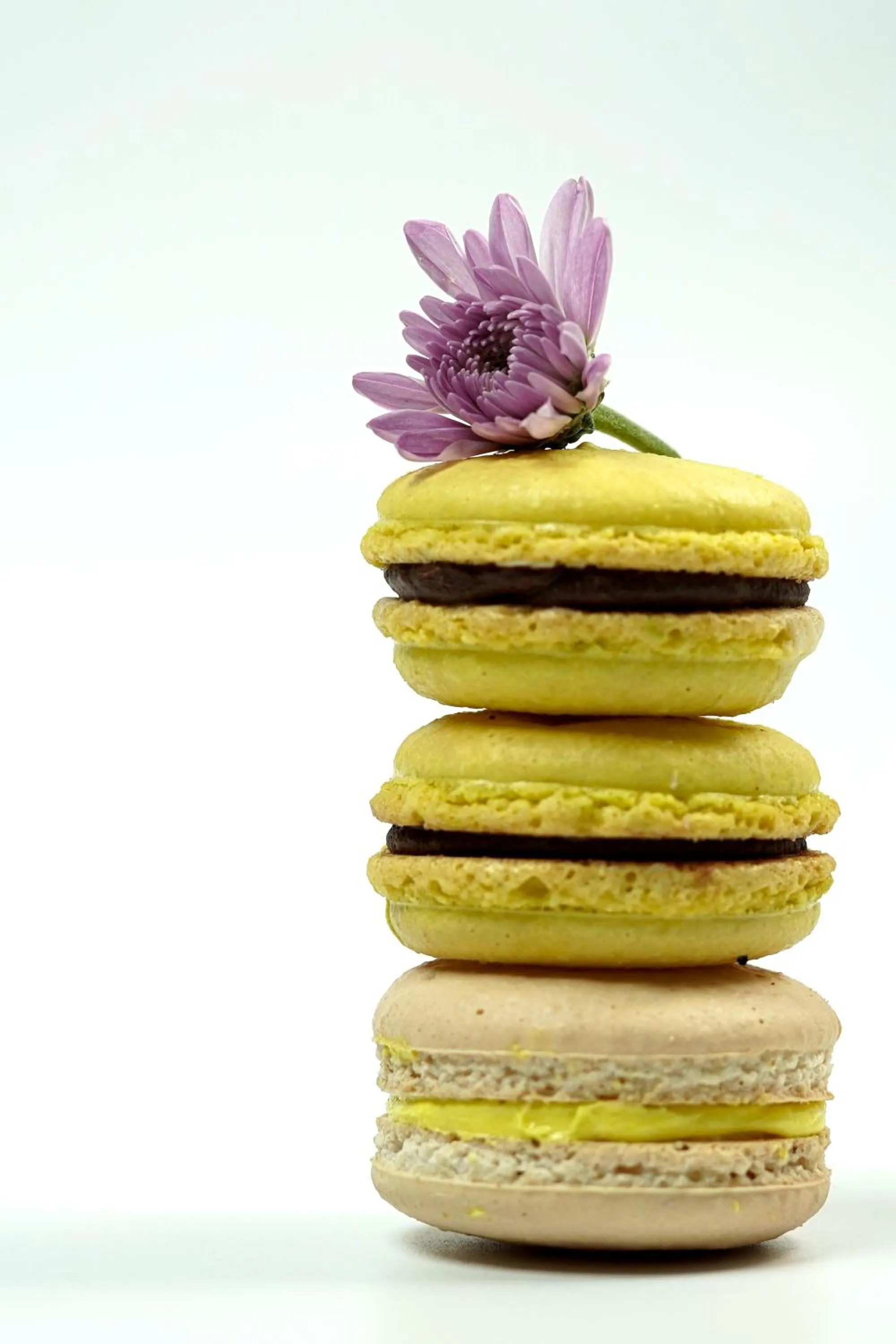 Restaurant/places to eat in The Alcor Hotel