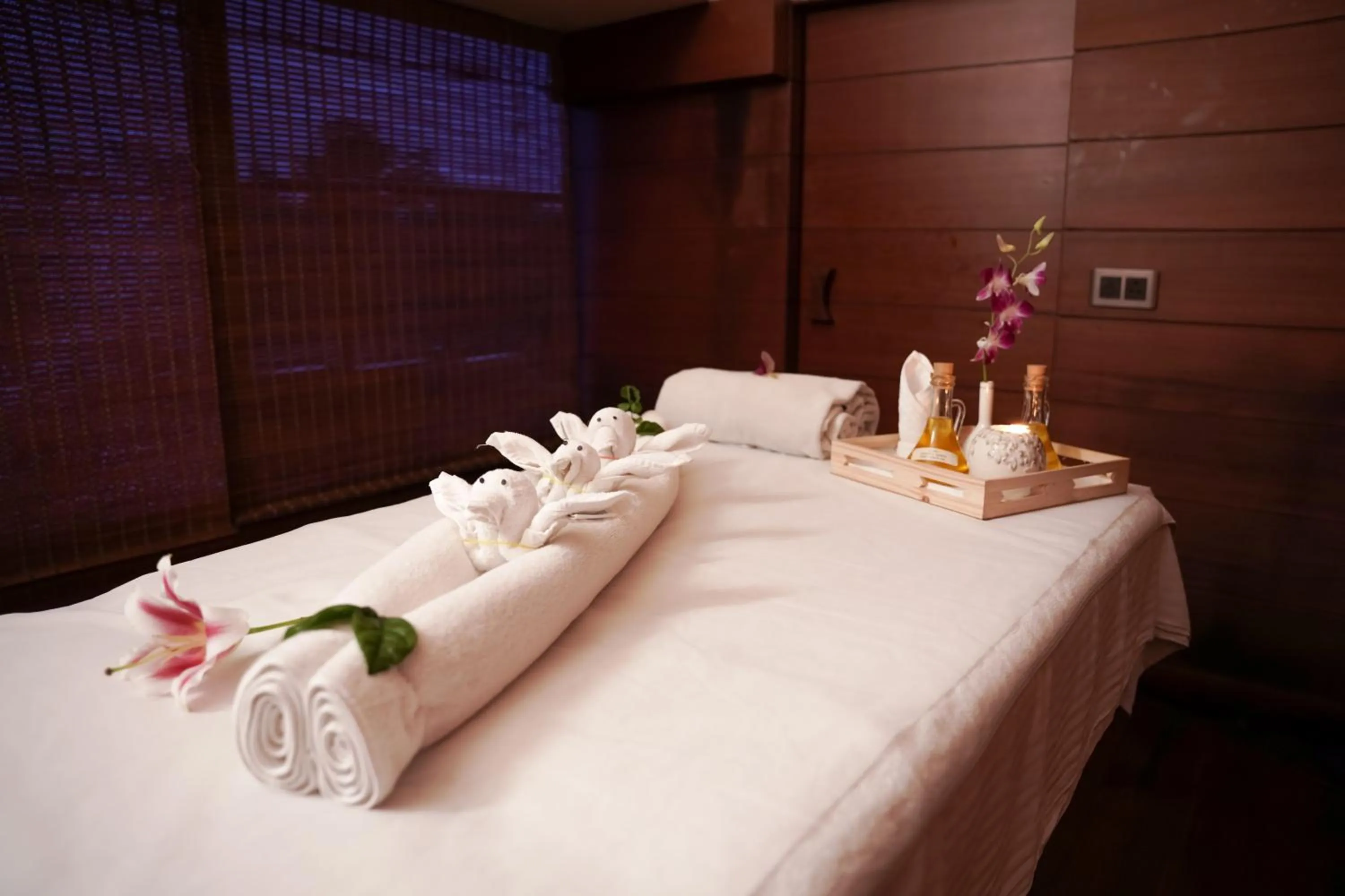 Spa and wellness centre/facilities in The Alcor Hotel