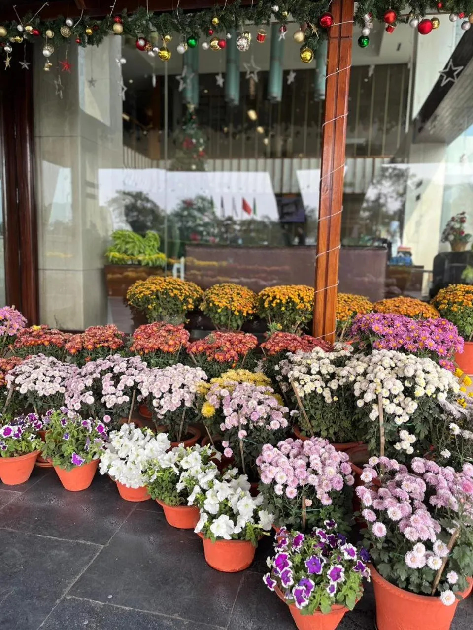 Facade/entrance in The Alcor Hotel