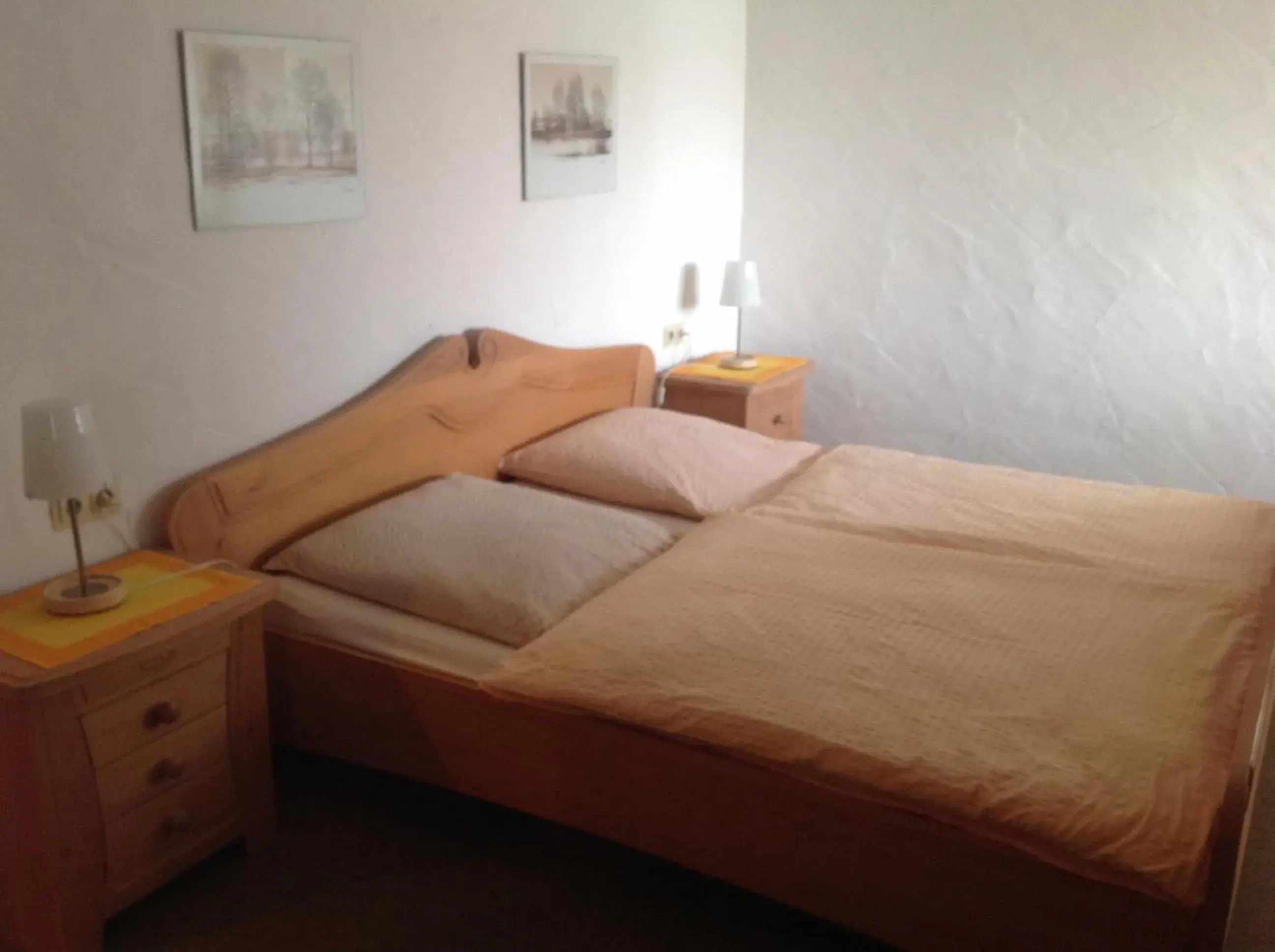 Double Room - single occupancy in Landgasthof zum Wiesengrund Double Room - single occupancy in Landgasthof zum Wiesengrund