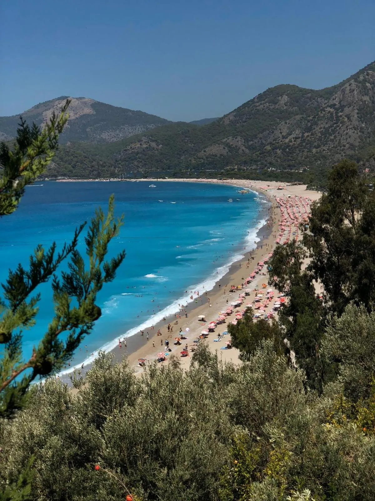 Natural landscape in Mimoza Hotel