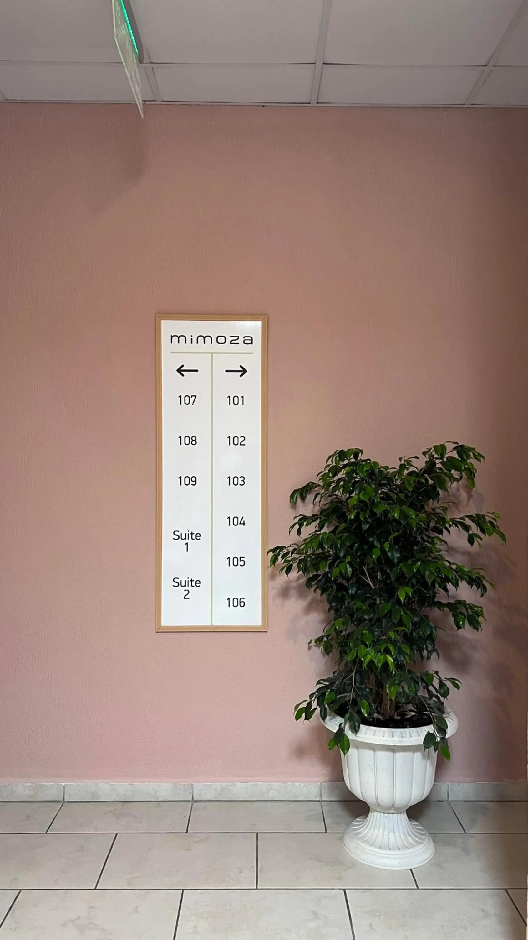 Property building in Mimoza Hotel