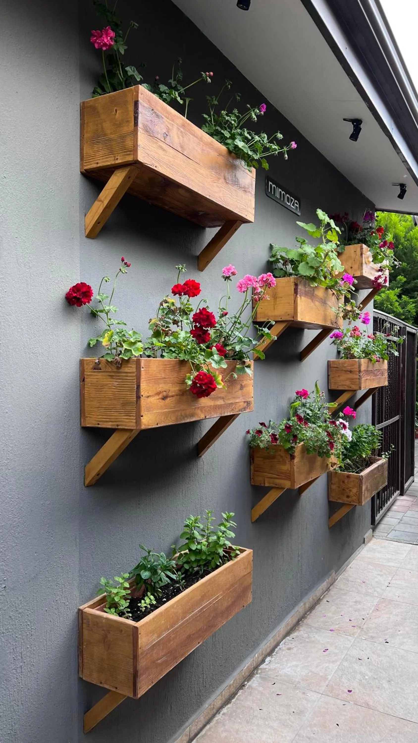 Property building in Mimoza Hotel