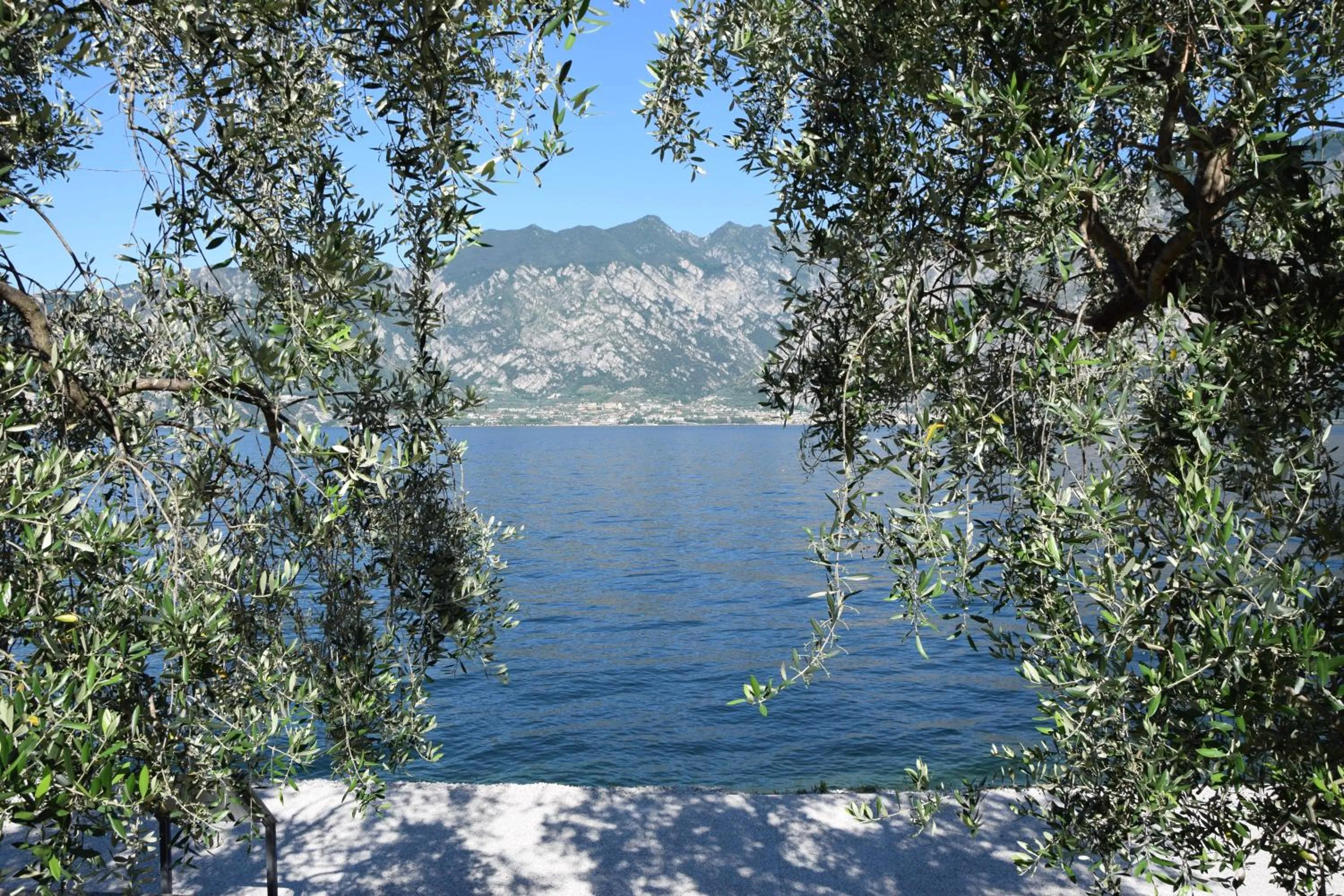 Lake view in Hotel Vela Azzurra