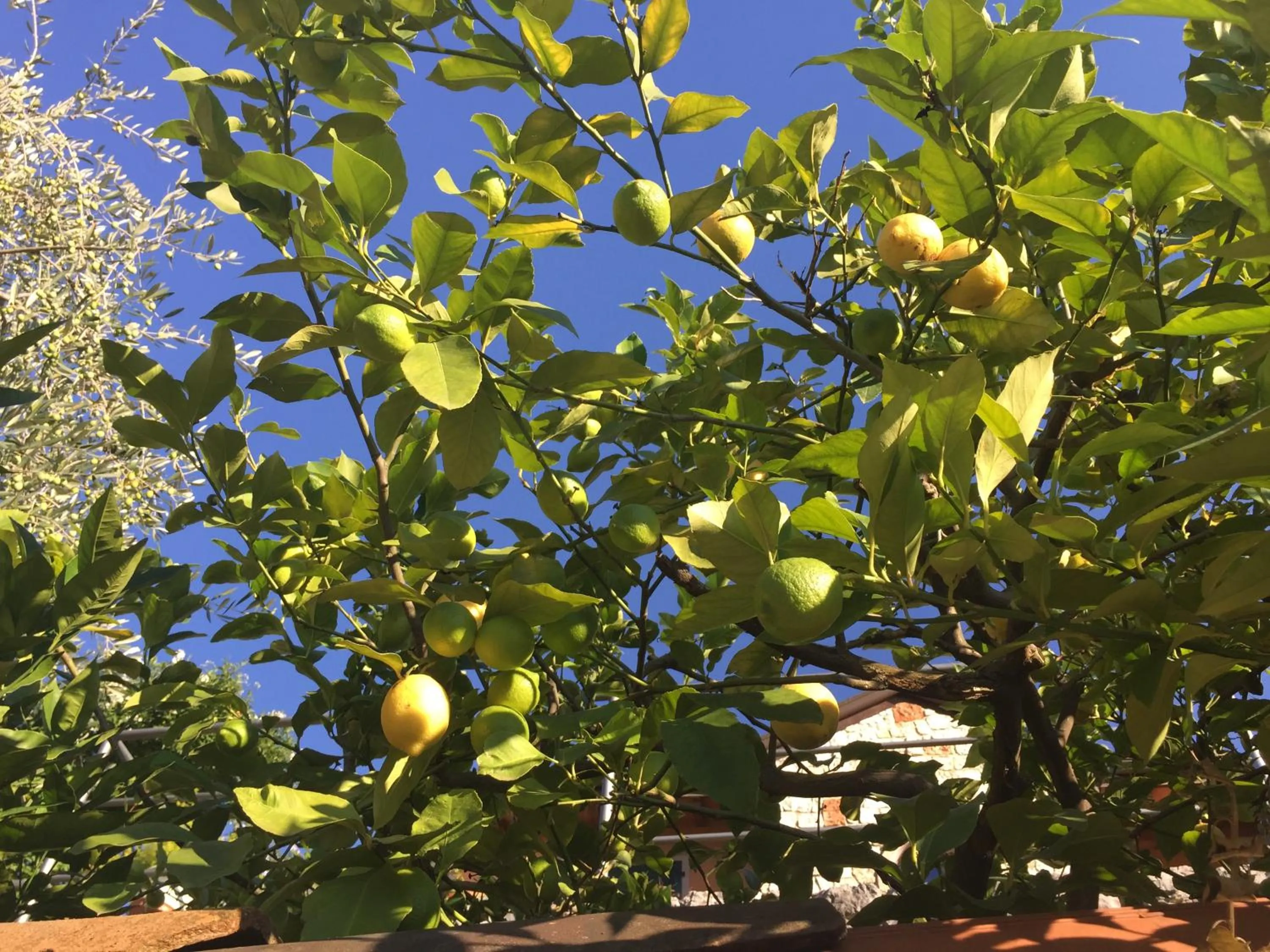 Natural landscape in Hotel Vela Azzurra