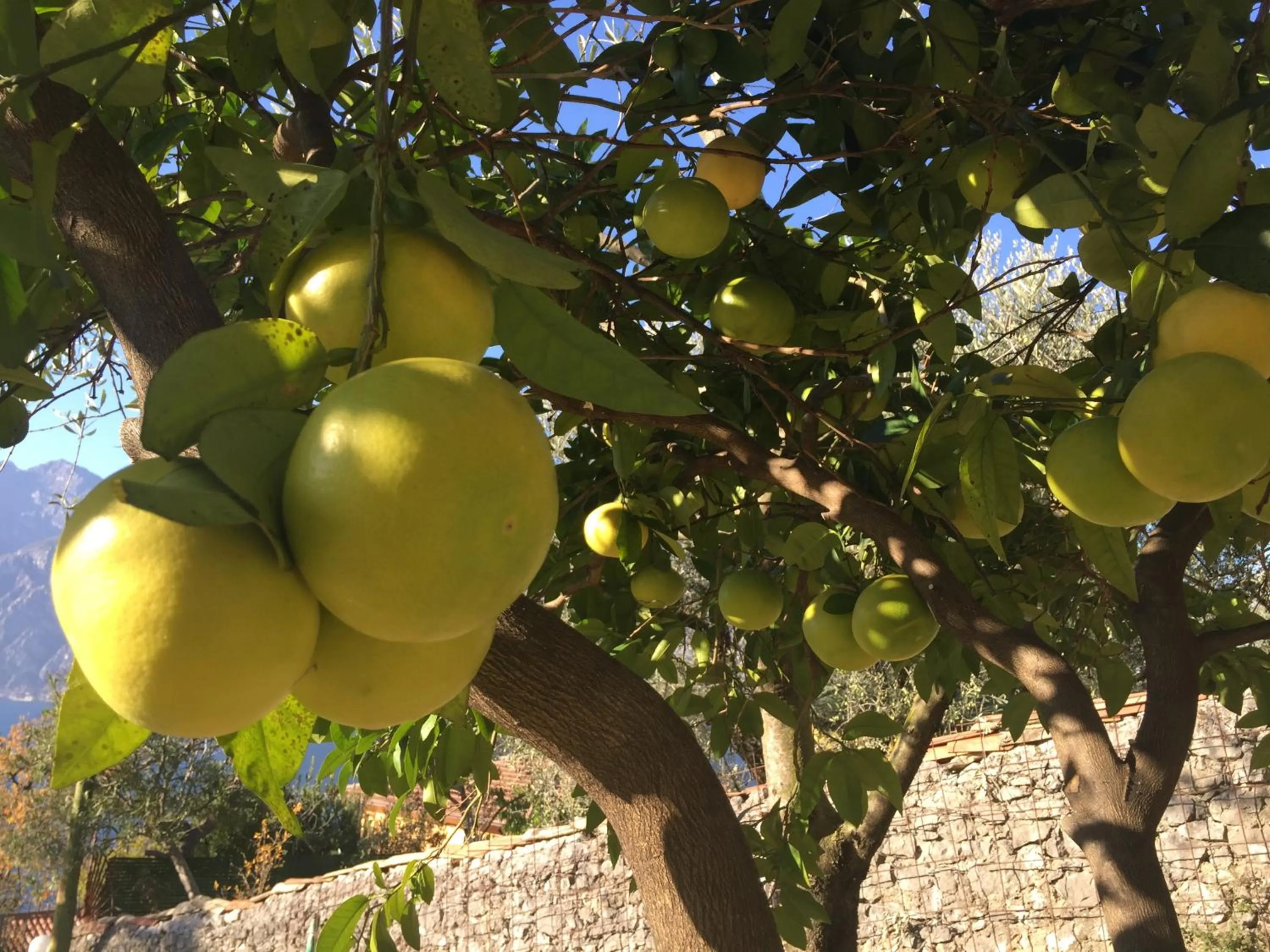 Natural landscape in Hotel Vela Azzurra