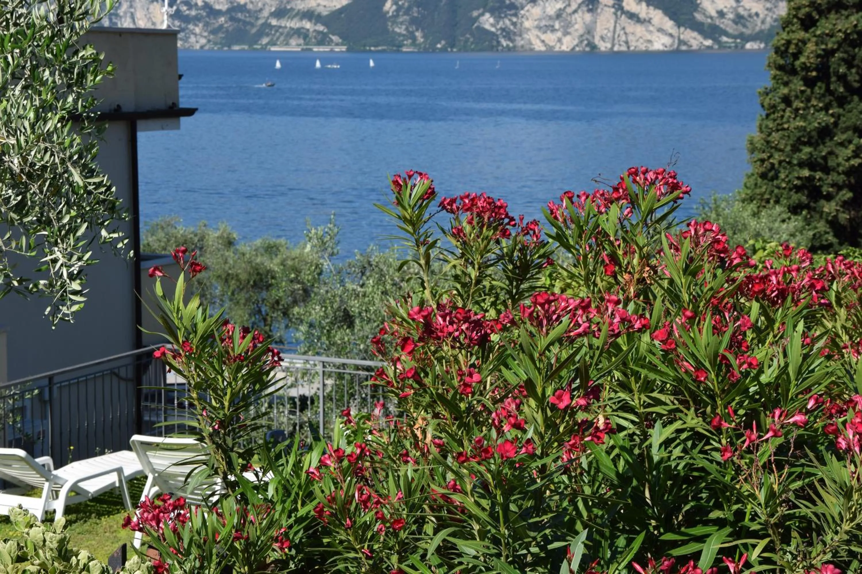 Natural landscape in Hotel Vela Azzurra
