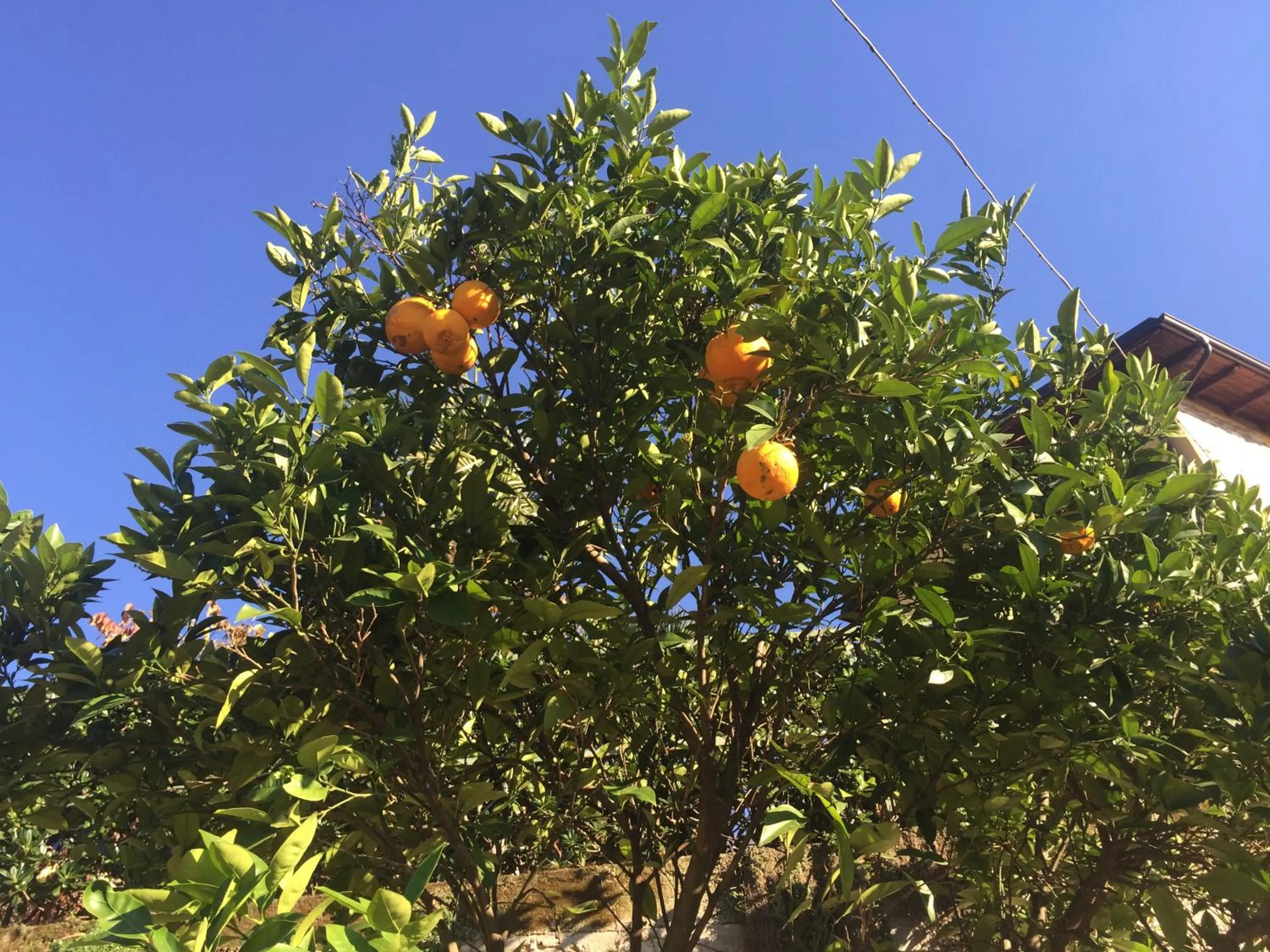 Natural landscape in Hotel Vela Azzurra