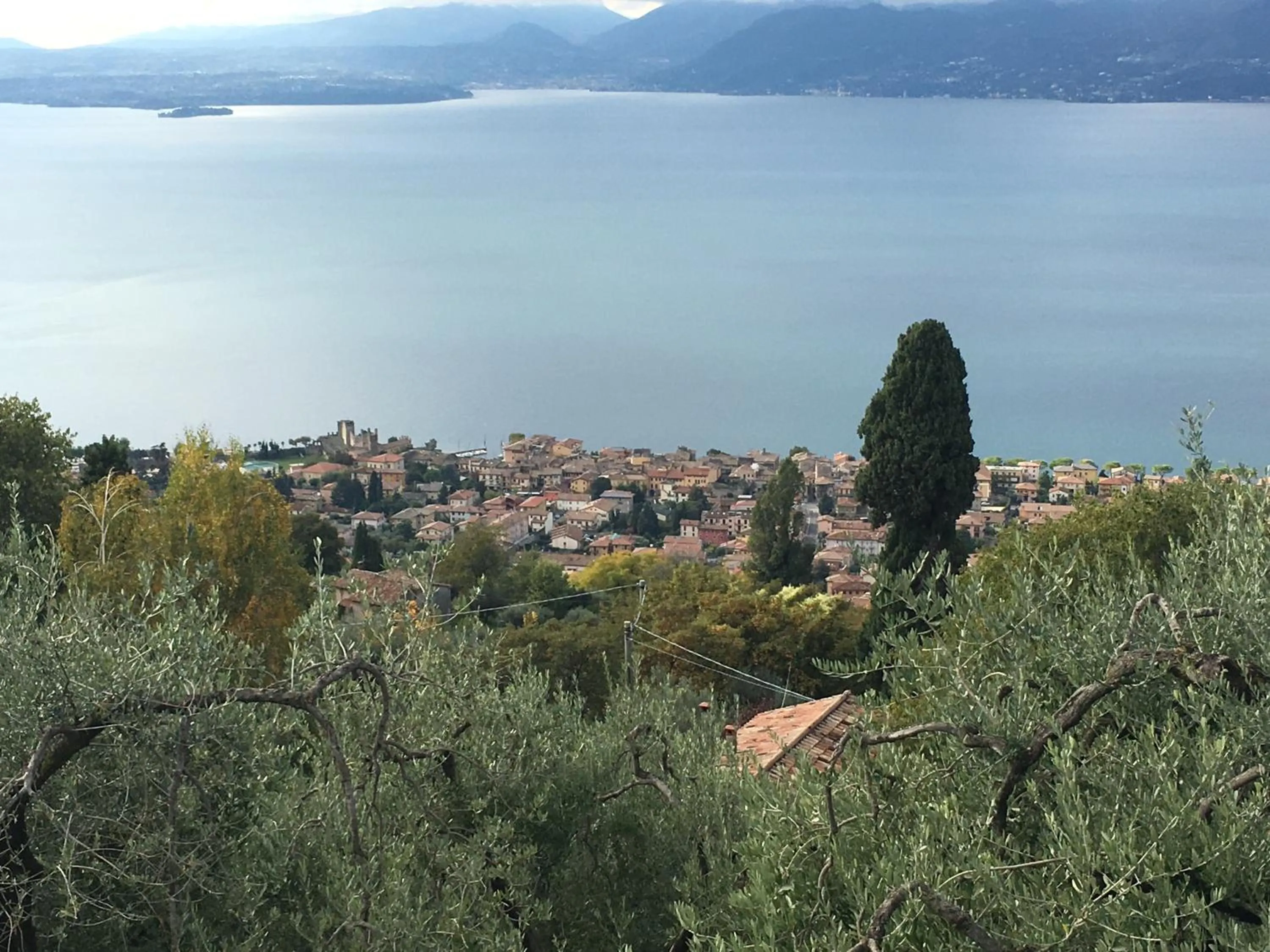 Neighbourhood in Hotel Vela Azzurra