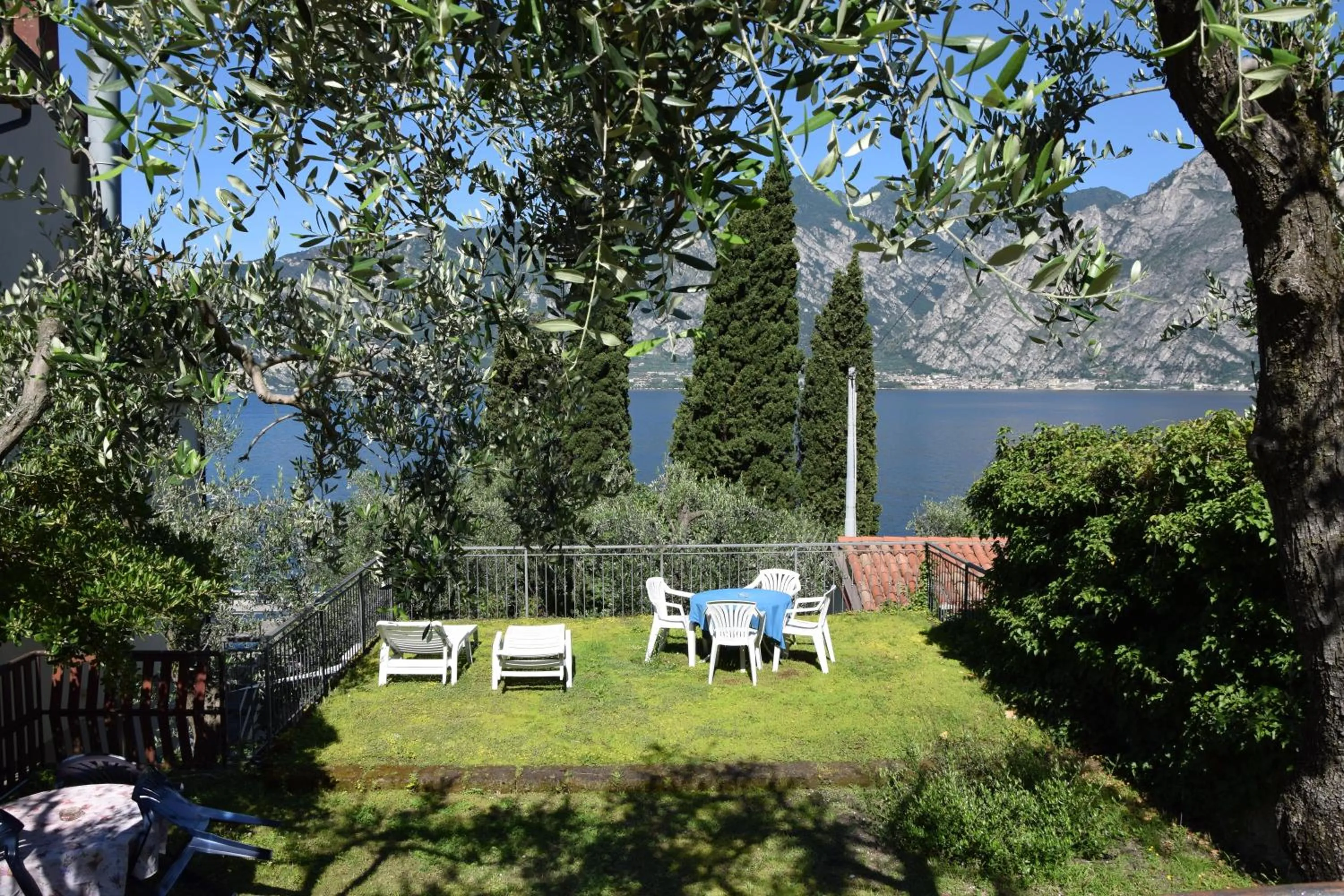 Garden in Hotel Vela Azzurra