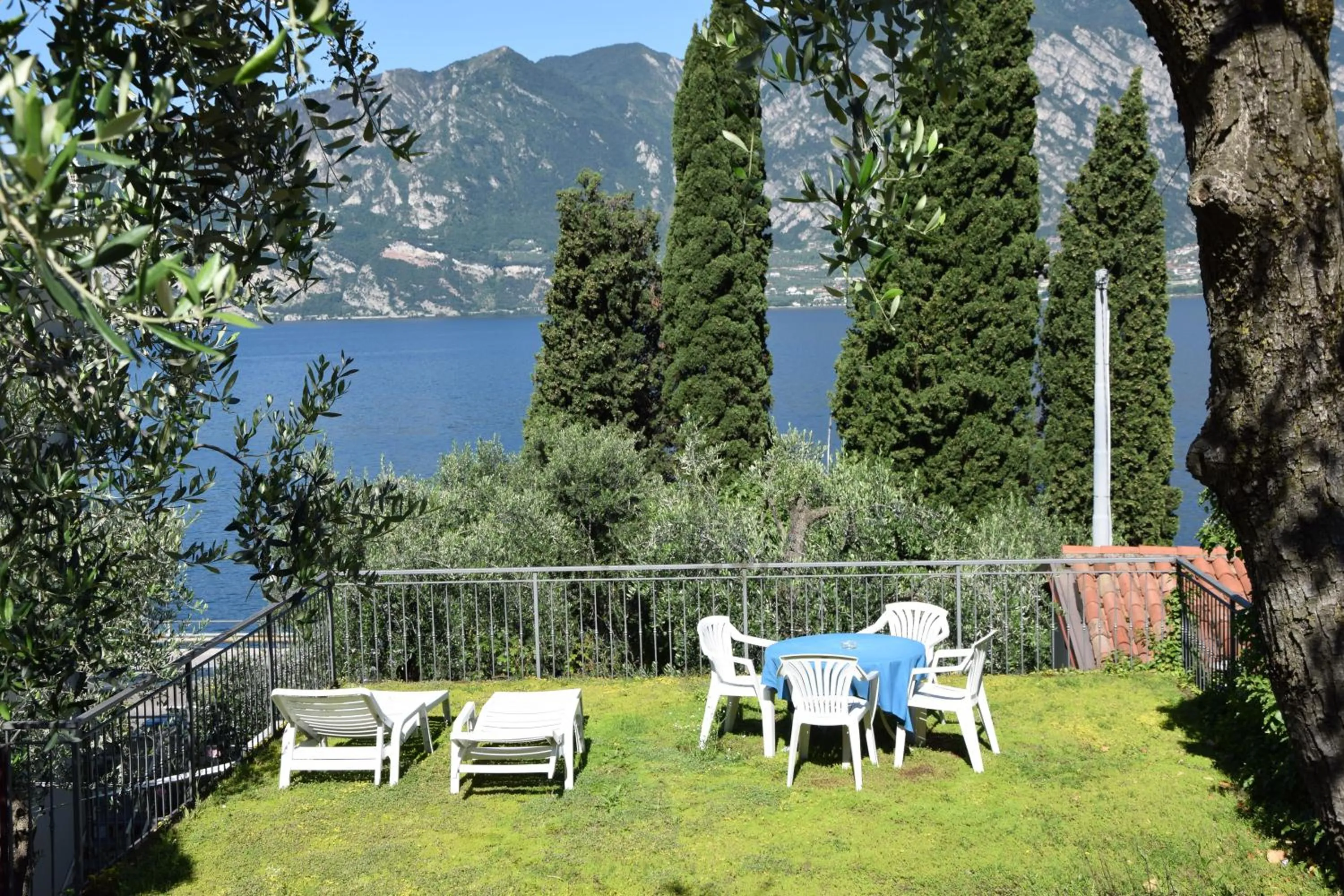 Garden in Hotel Vela Azzurra