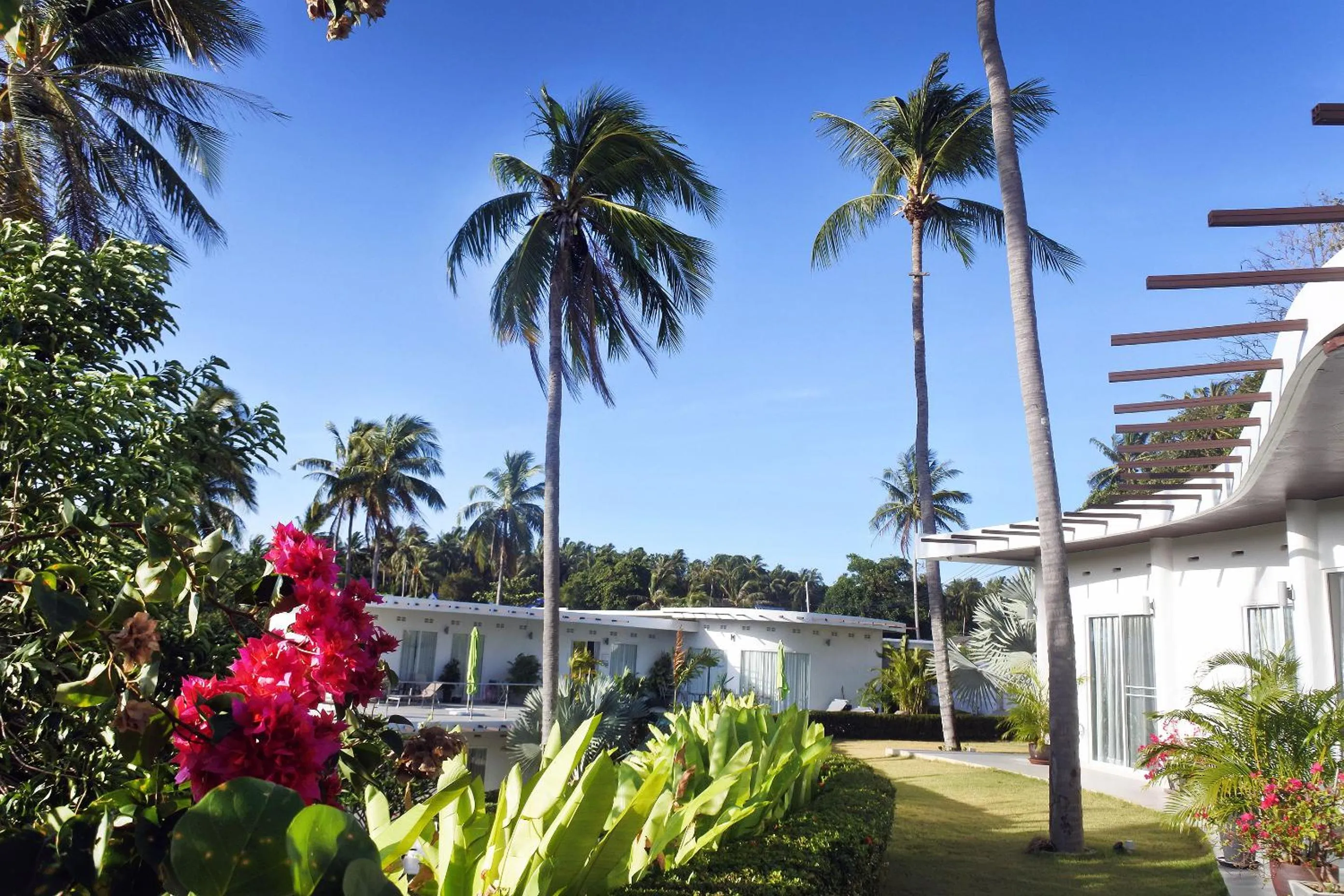 Garden in The Inspiration Residence