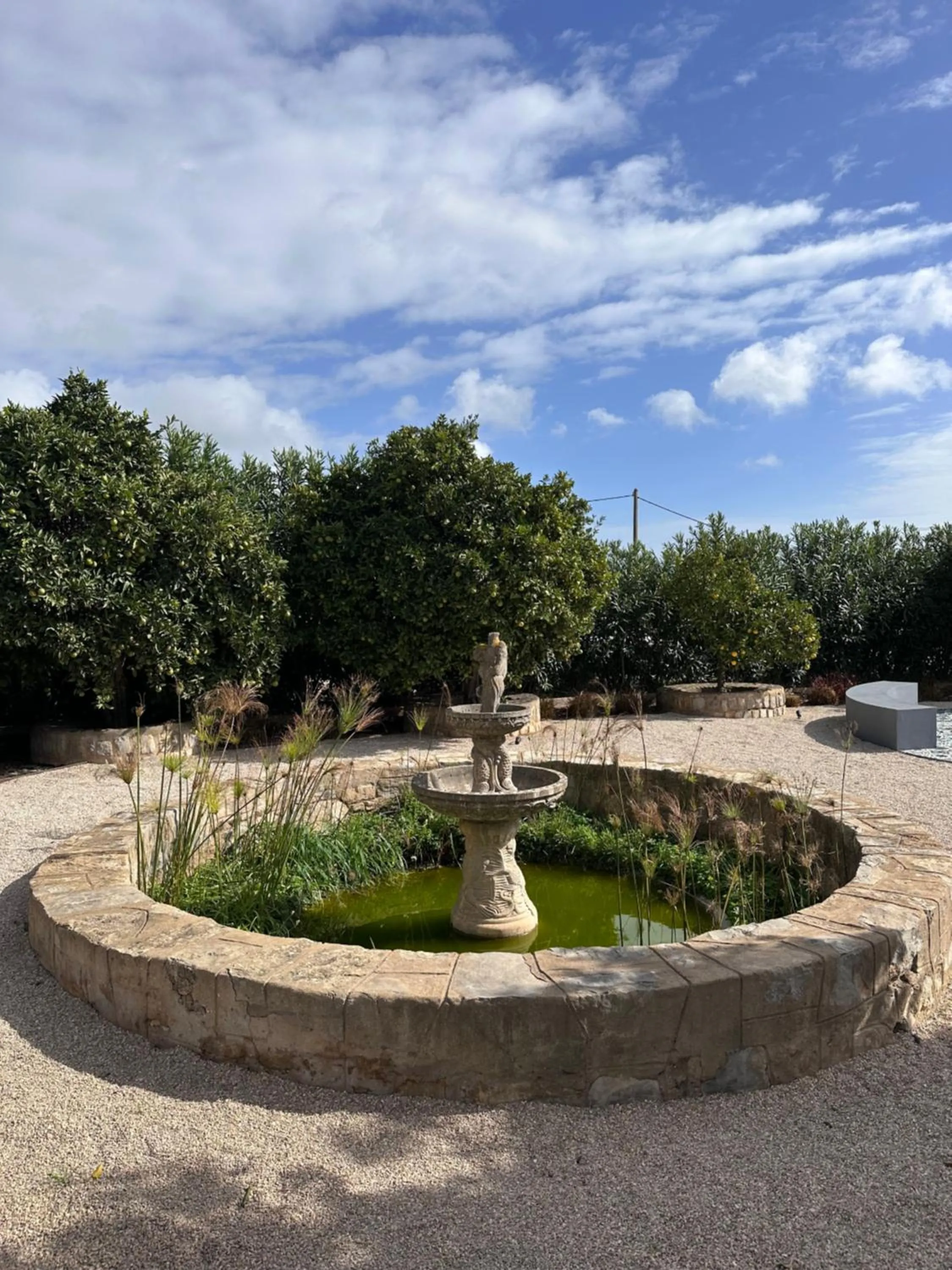 Garden view in Hotel Don Rodrigues