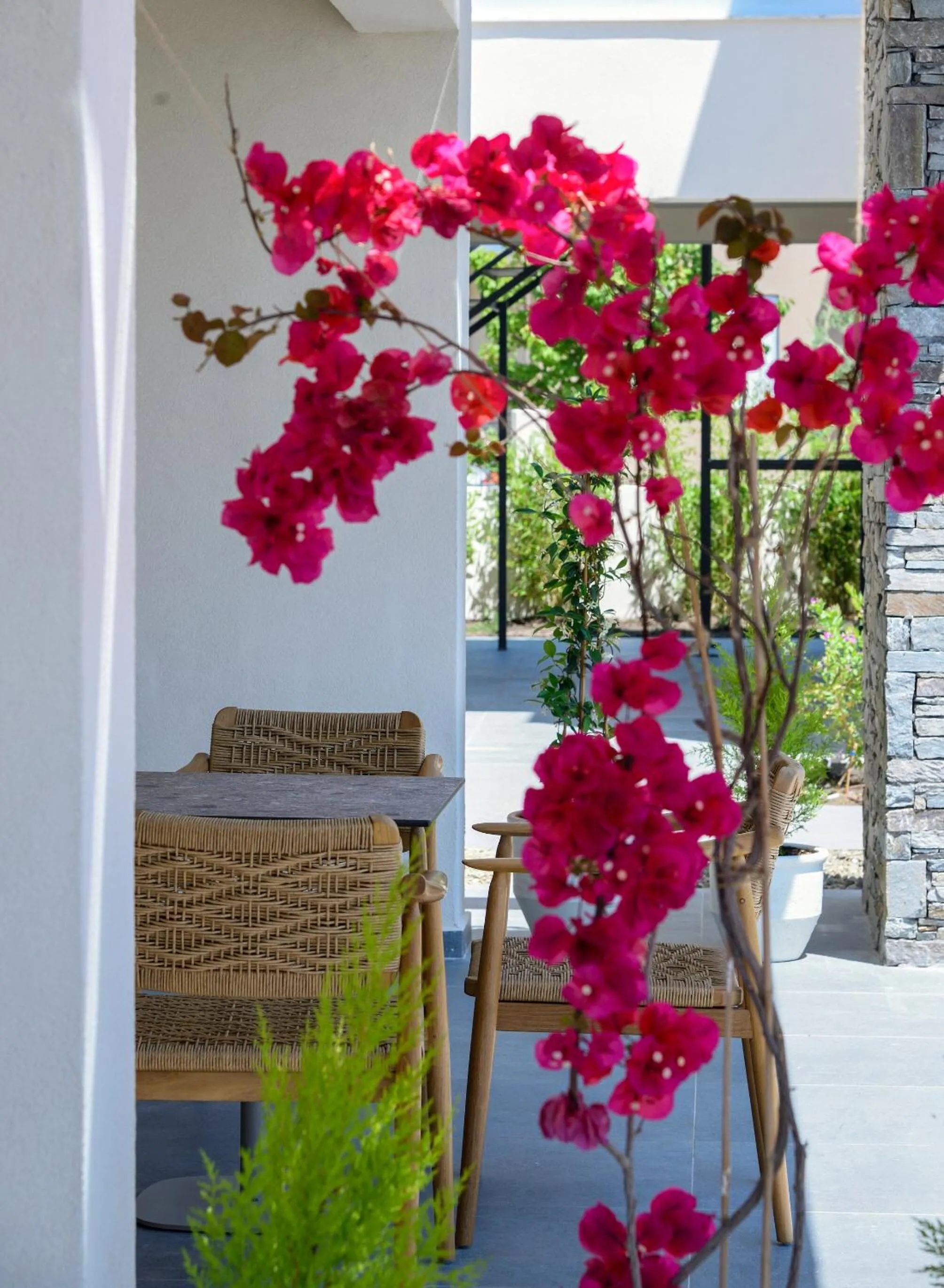 Balcony/Terrace in Amyntas Seafront Hotel