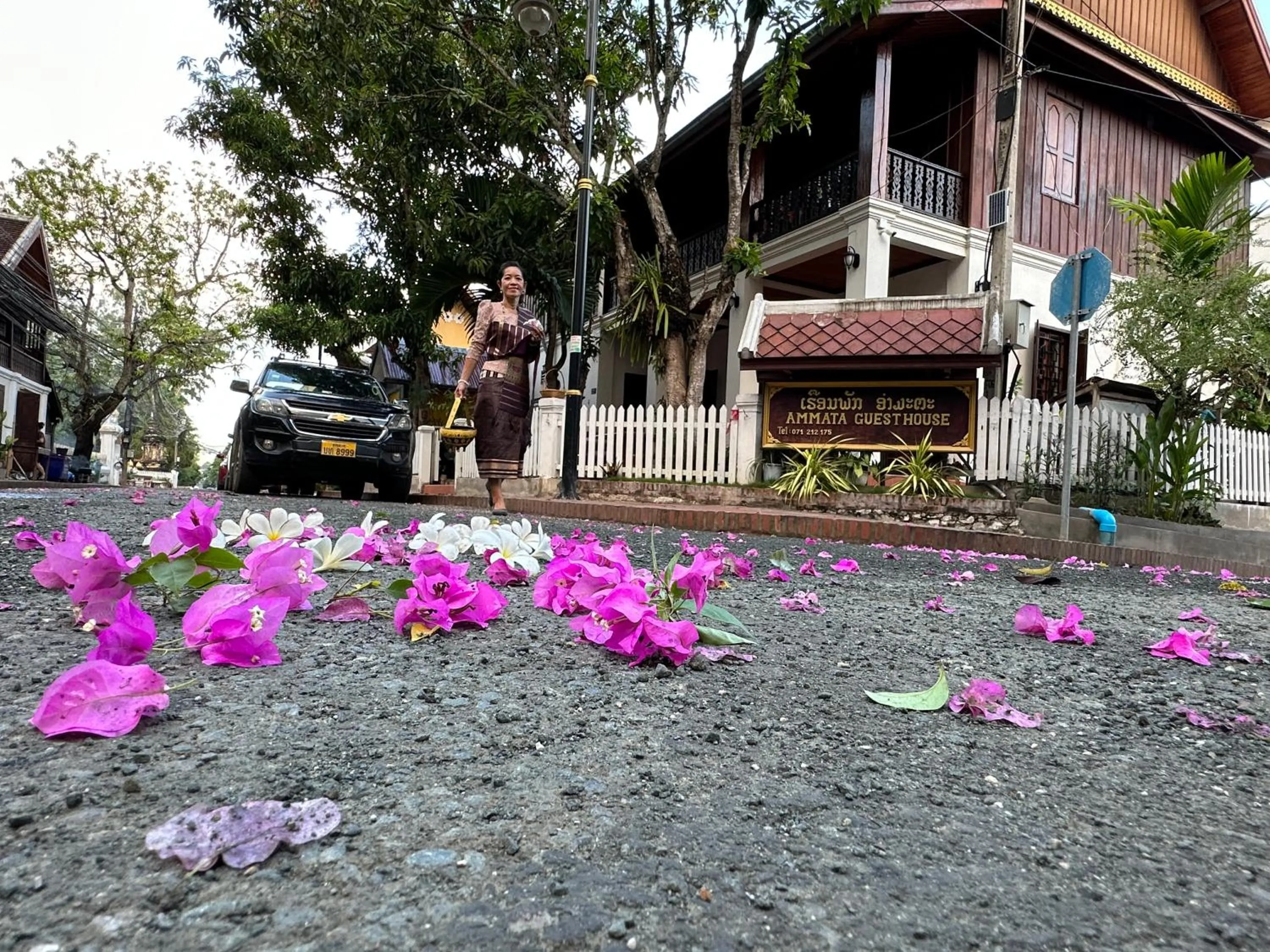 Property building in Ammata Boutique Villa