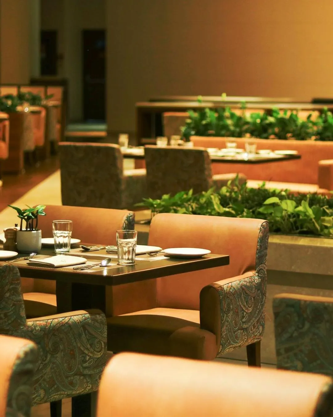 Restaurant/places to eat in Park Plaza Chandigarh Zirakpur