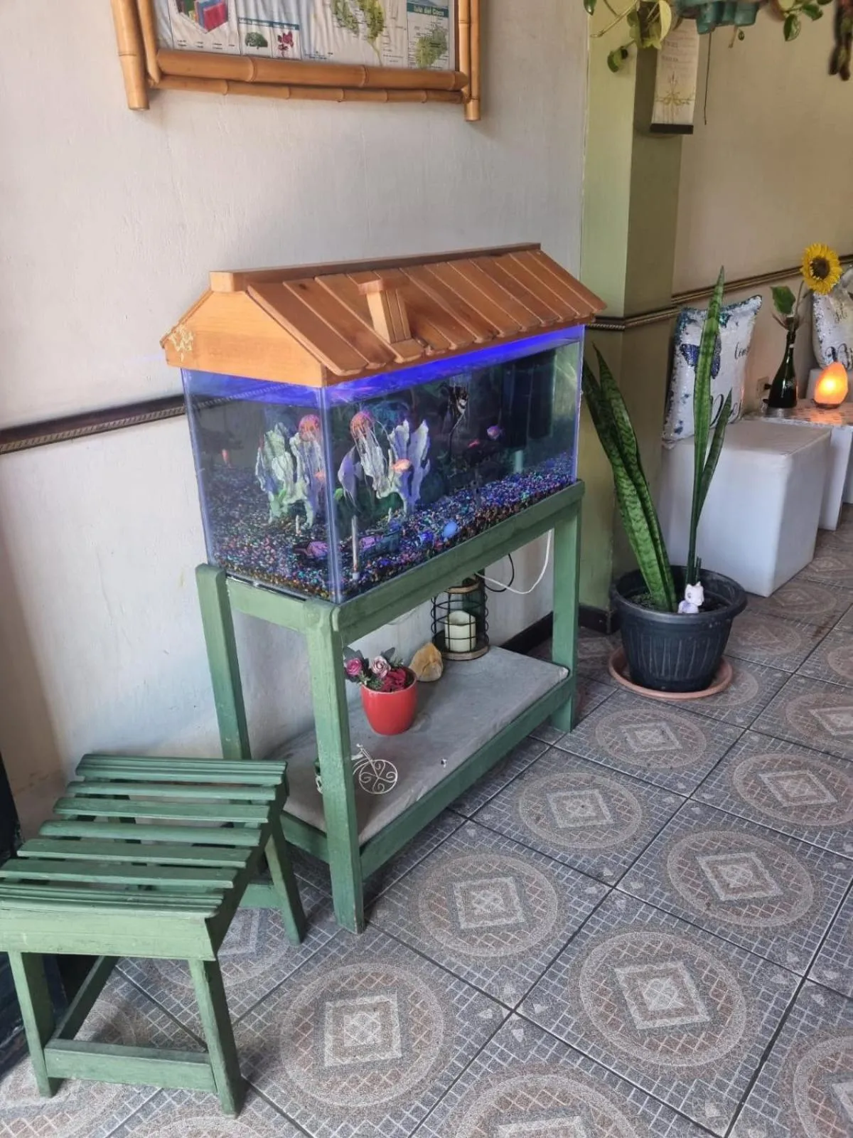 Hotel Paradise Alajuela