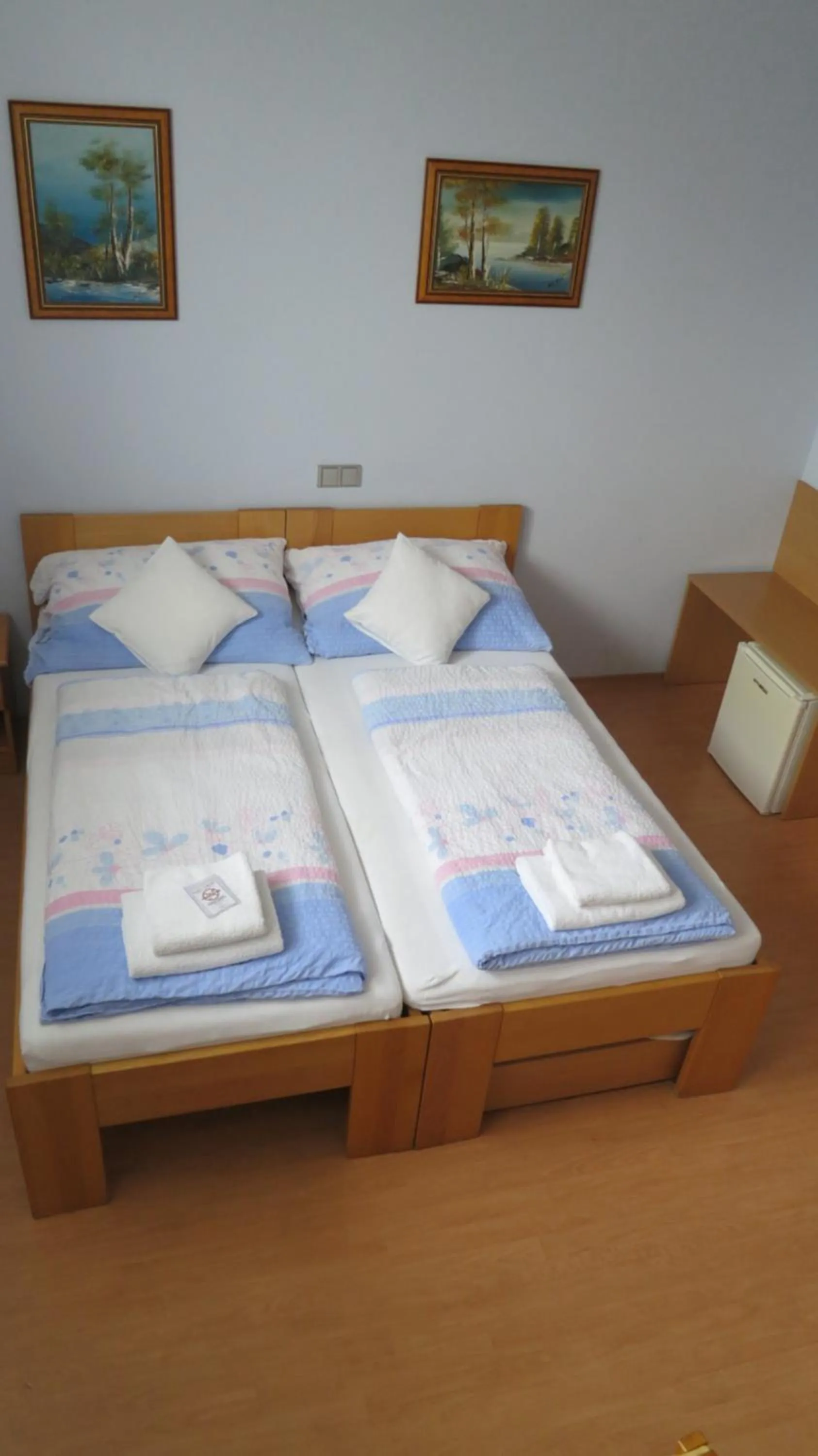 Bed in Penzion U Splavu