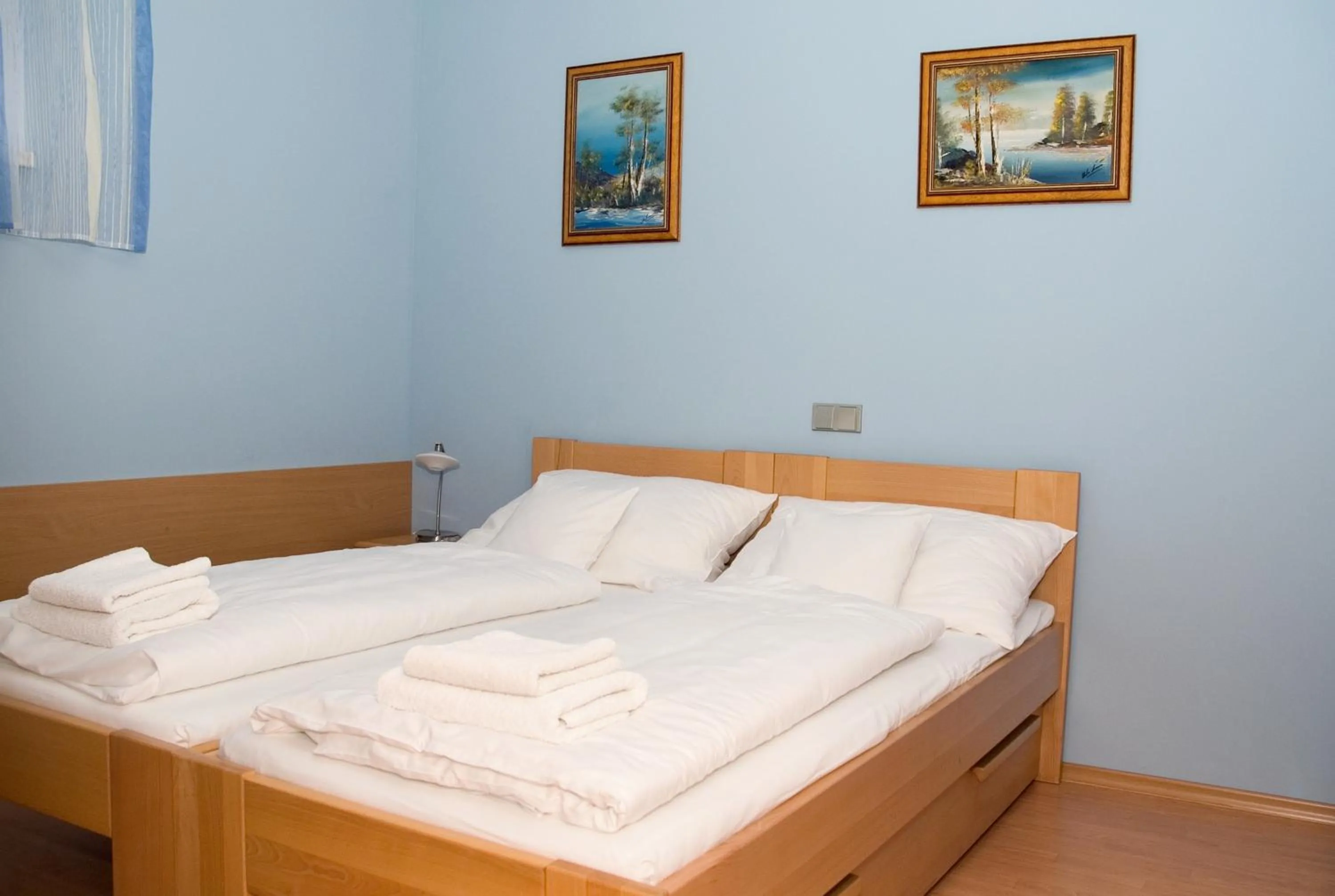 Bed in Penzion U Splavu