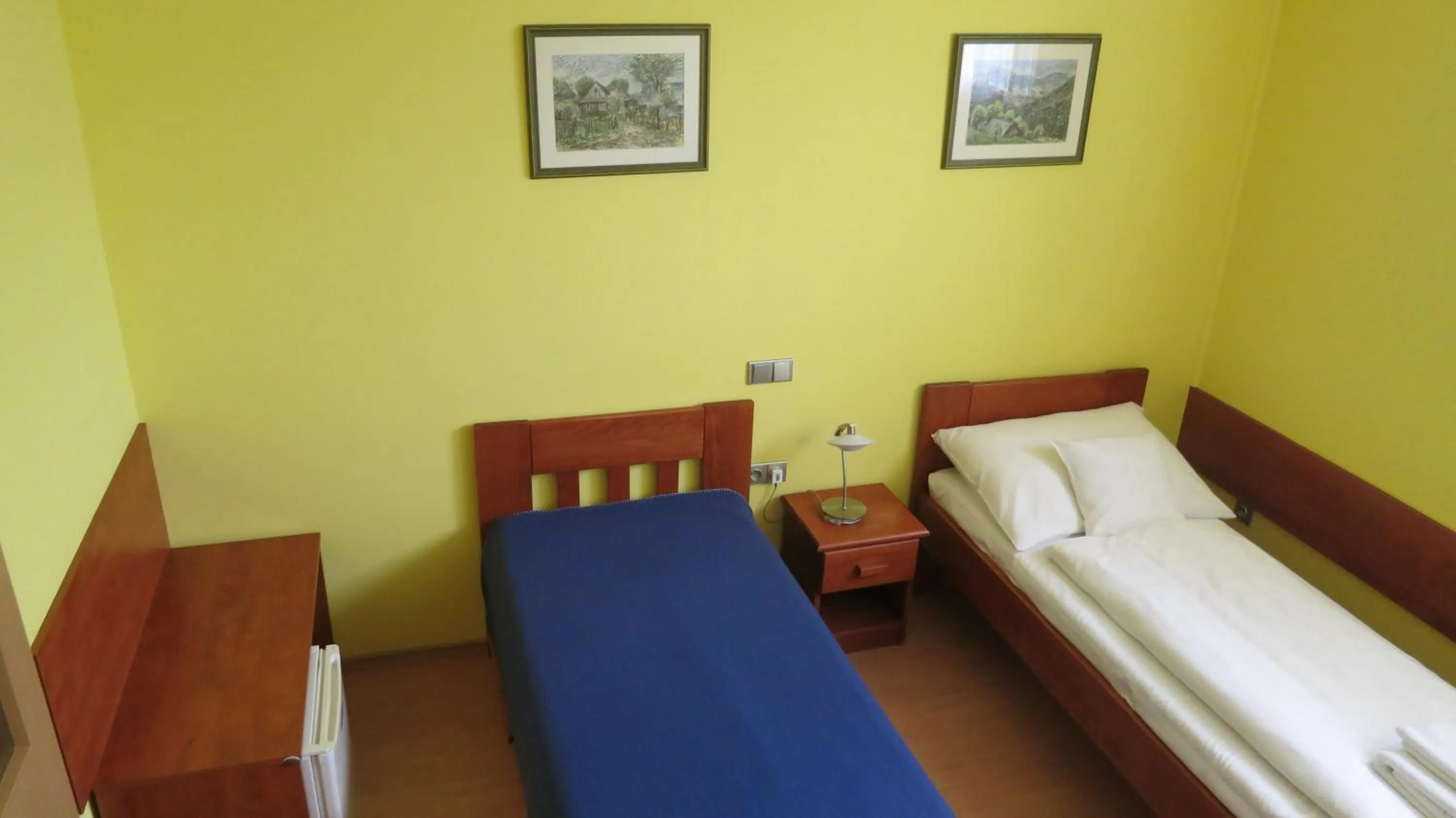 Bed in Penzion U Splavu