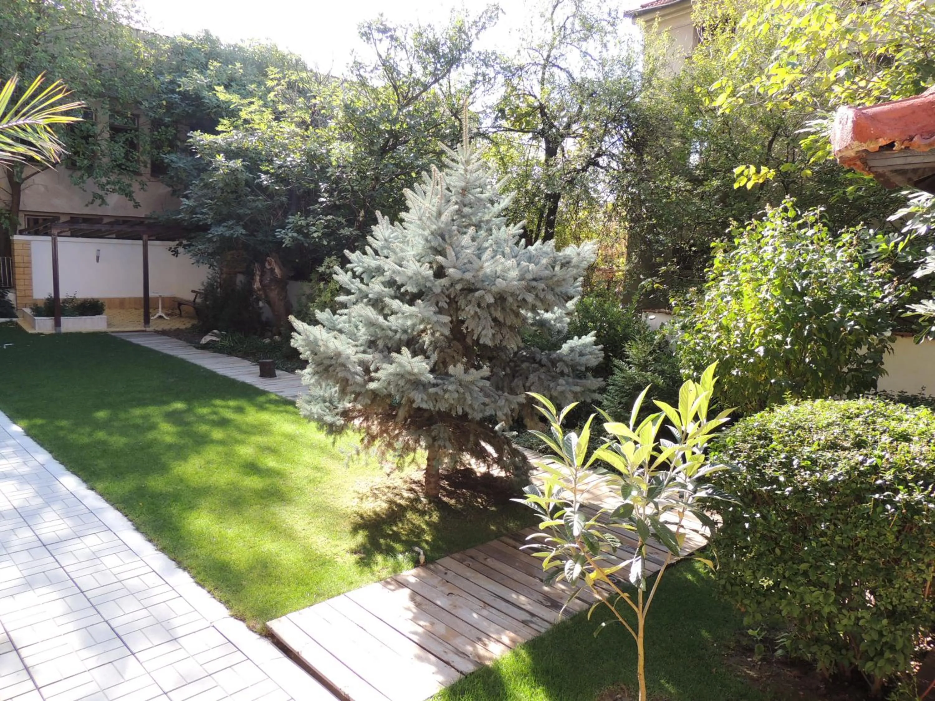Garden in Apartments in Relax Complex Fantasy