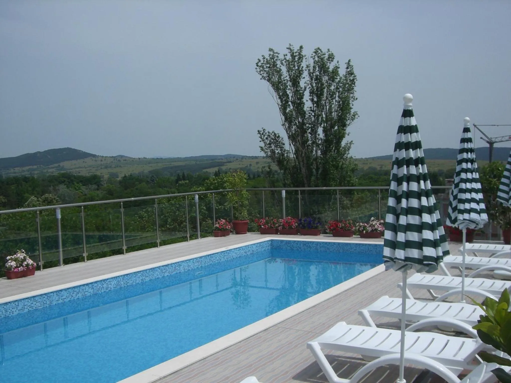 Swimming pool in Apartments in Relax Complex Fantasy