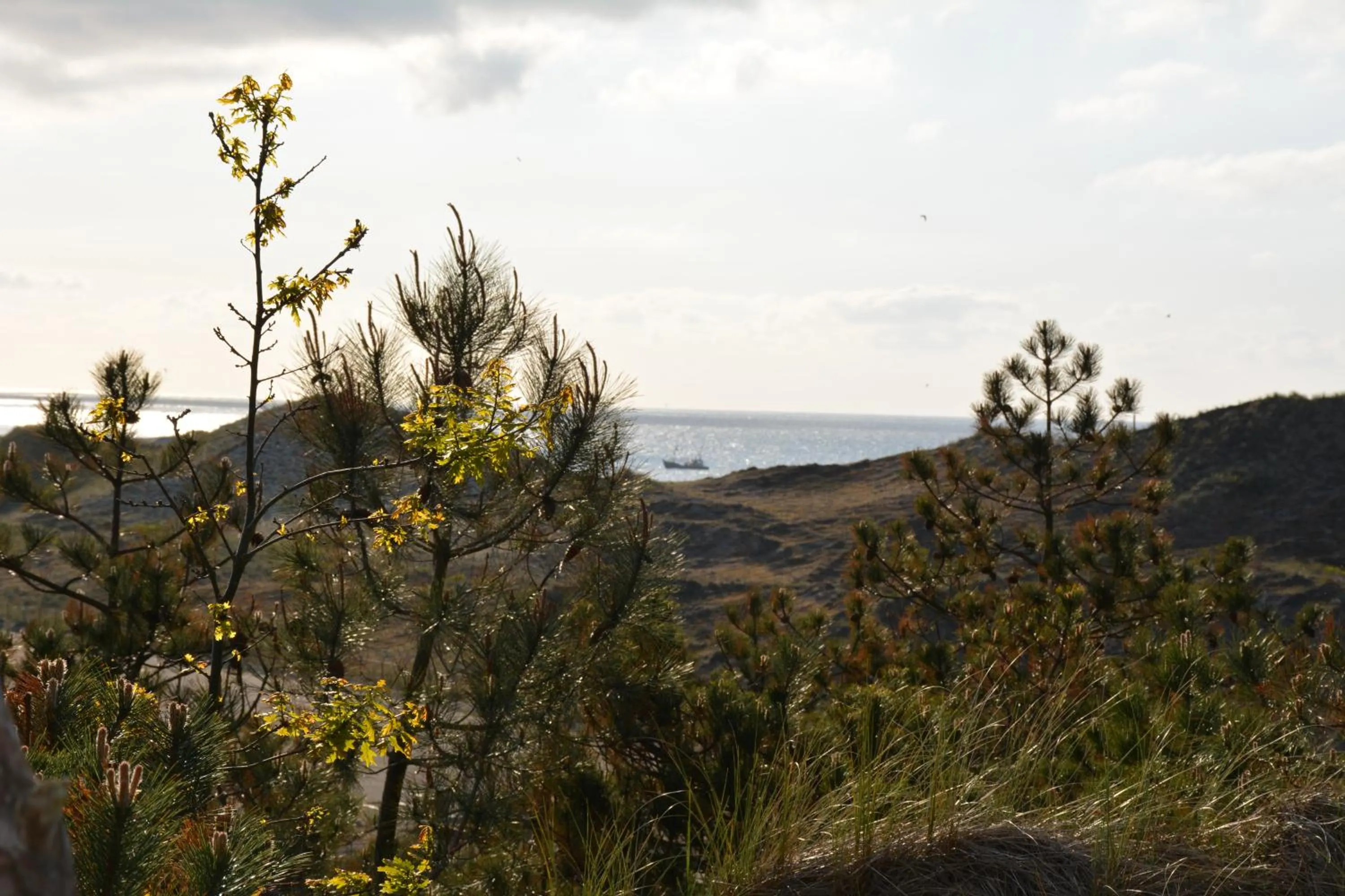 Nearby landmark in Strandhotel Camperduin