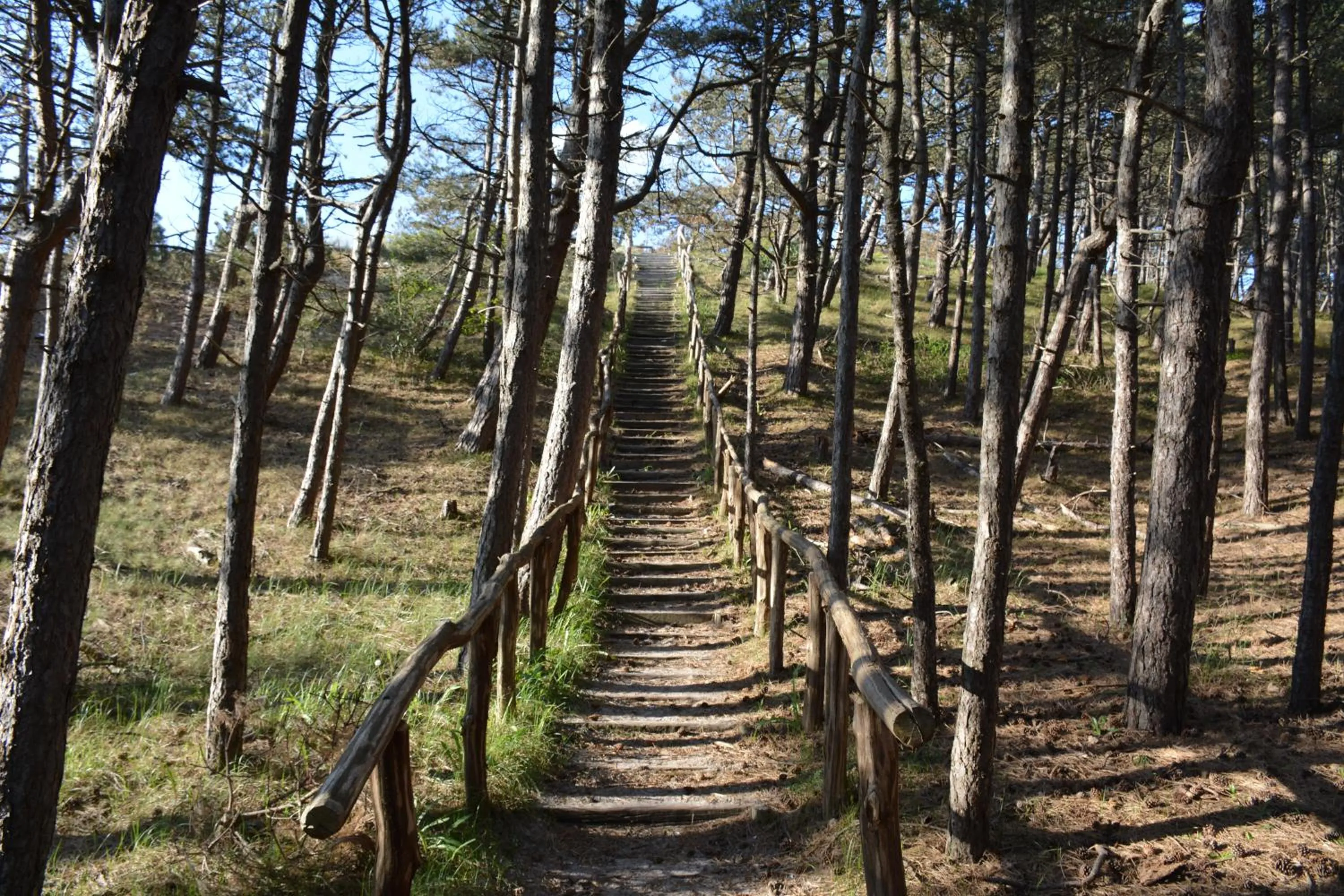 Natural landscape in Strandhotel Camperduin