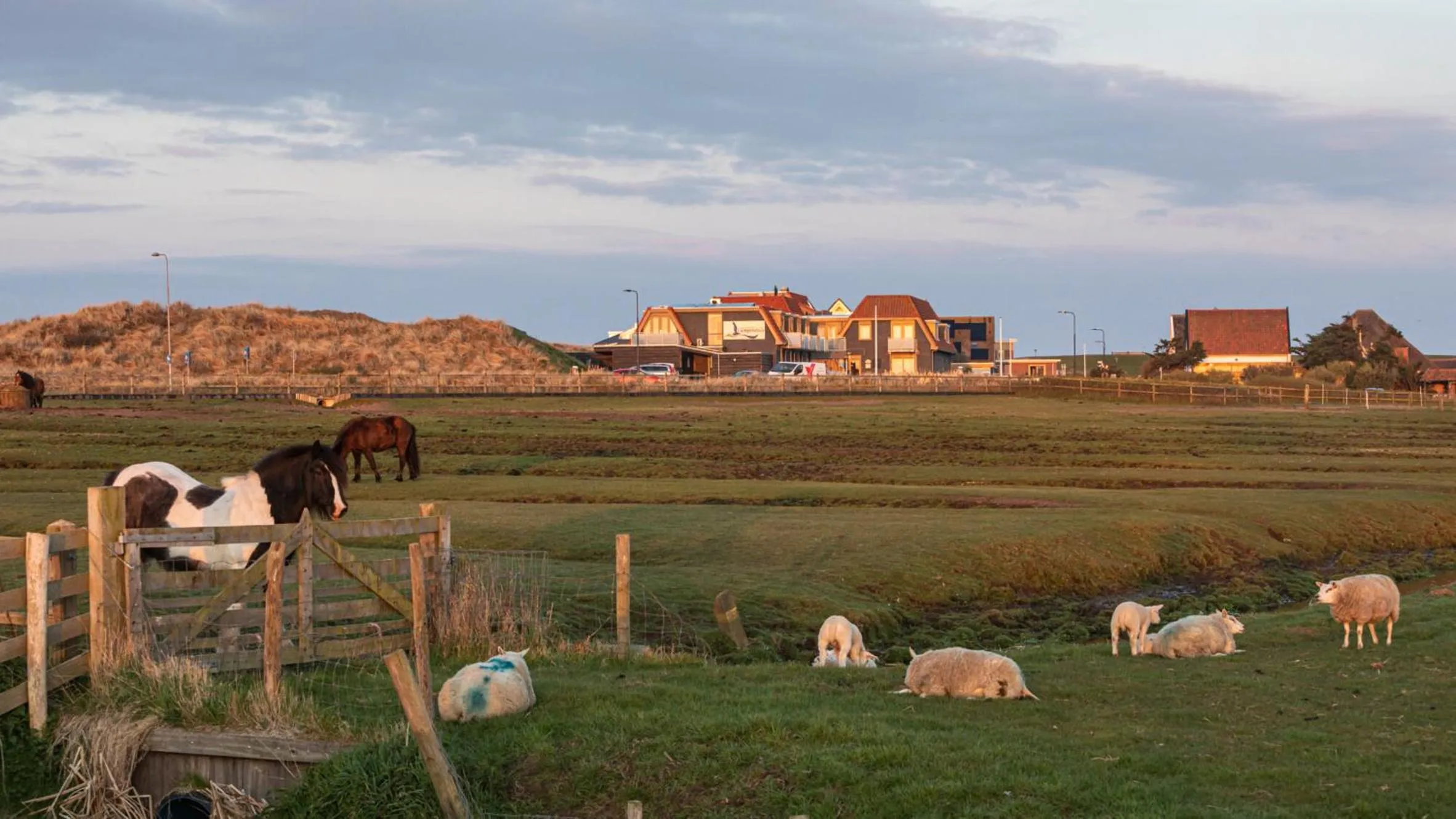 Natural landscape in Strandhotel Camperduin