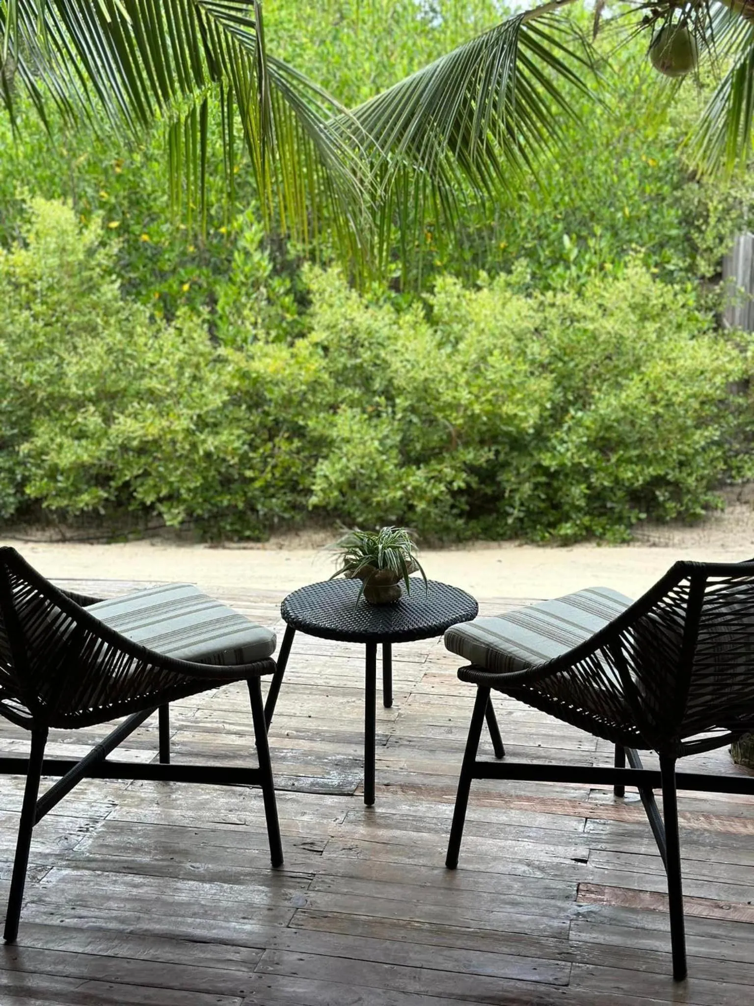 Day in Ariella Mangrove & Eco Resort by Hiverooms