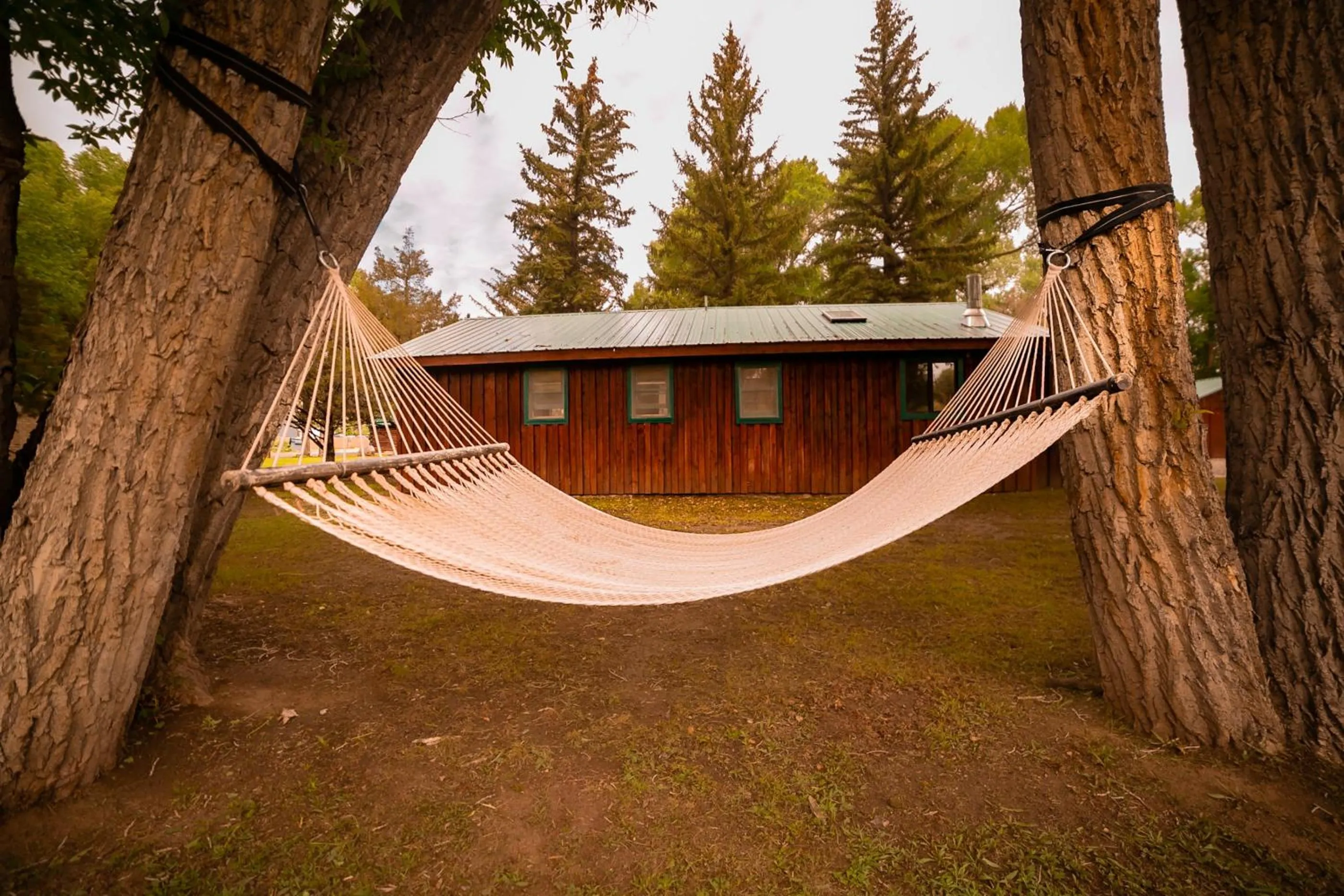 Natural landscape in Chinook Winds Lodge
