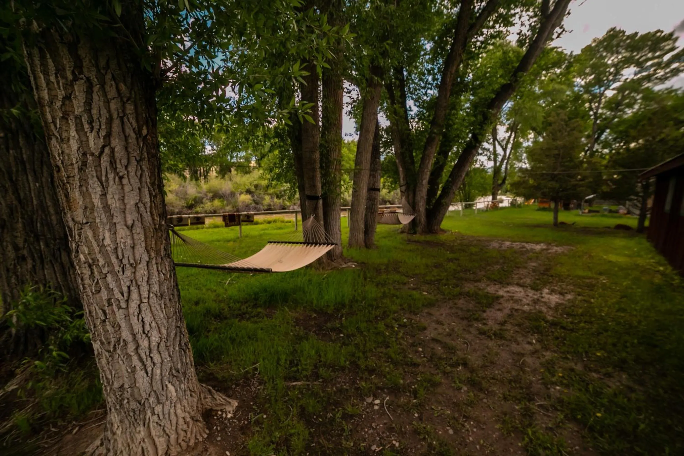 Natural landscape in Chinook Winds Lodge