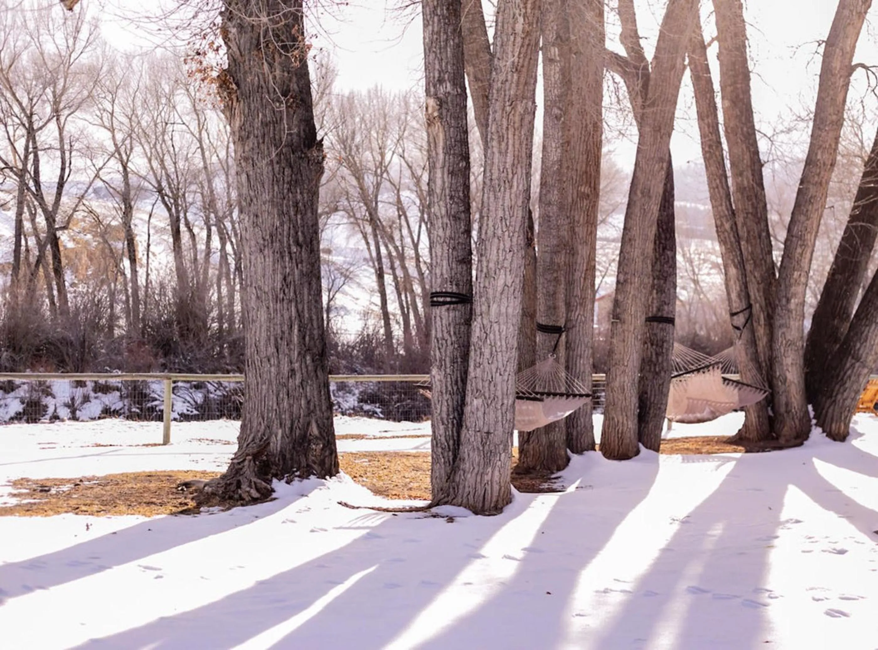 Natural landscape in Chinook Winds Lodge