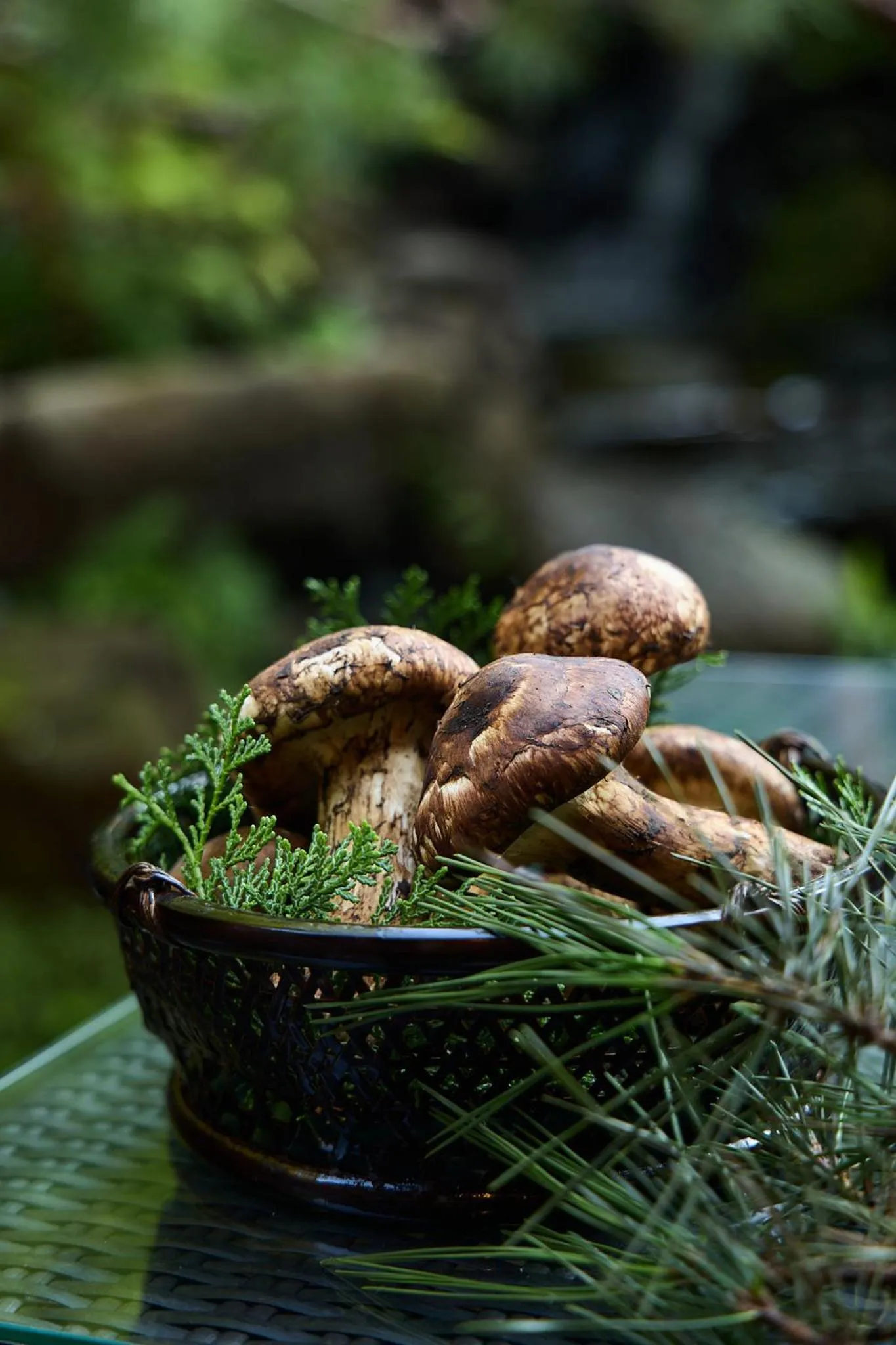 Dinner in Bessho Onsen Midoriya