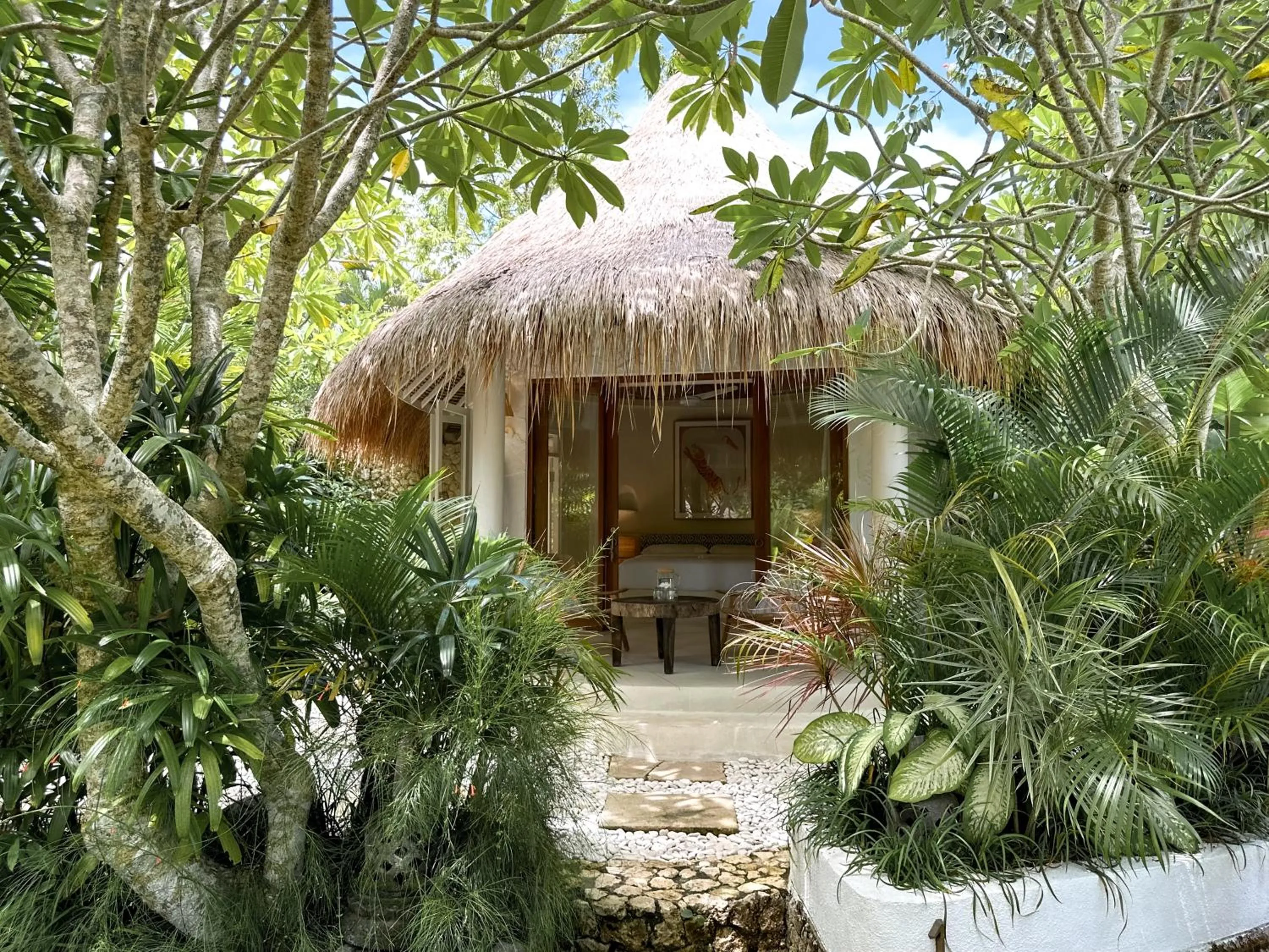 View (from property/room) in Bodhi Bingin