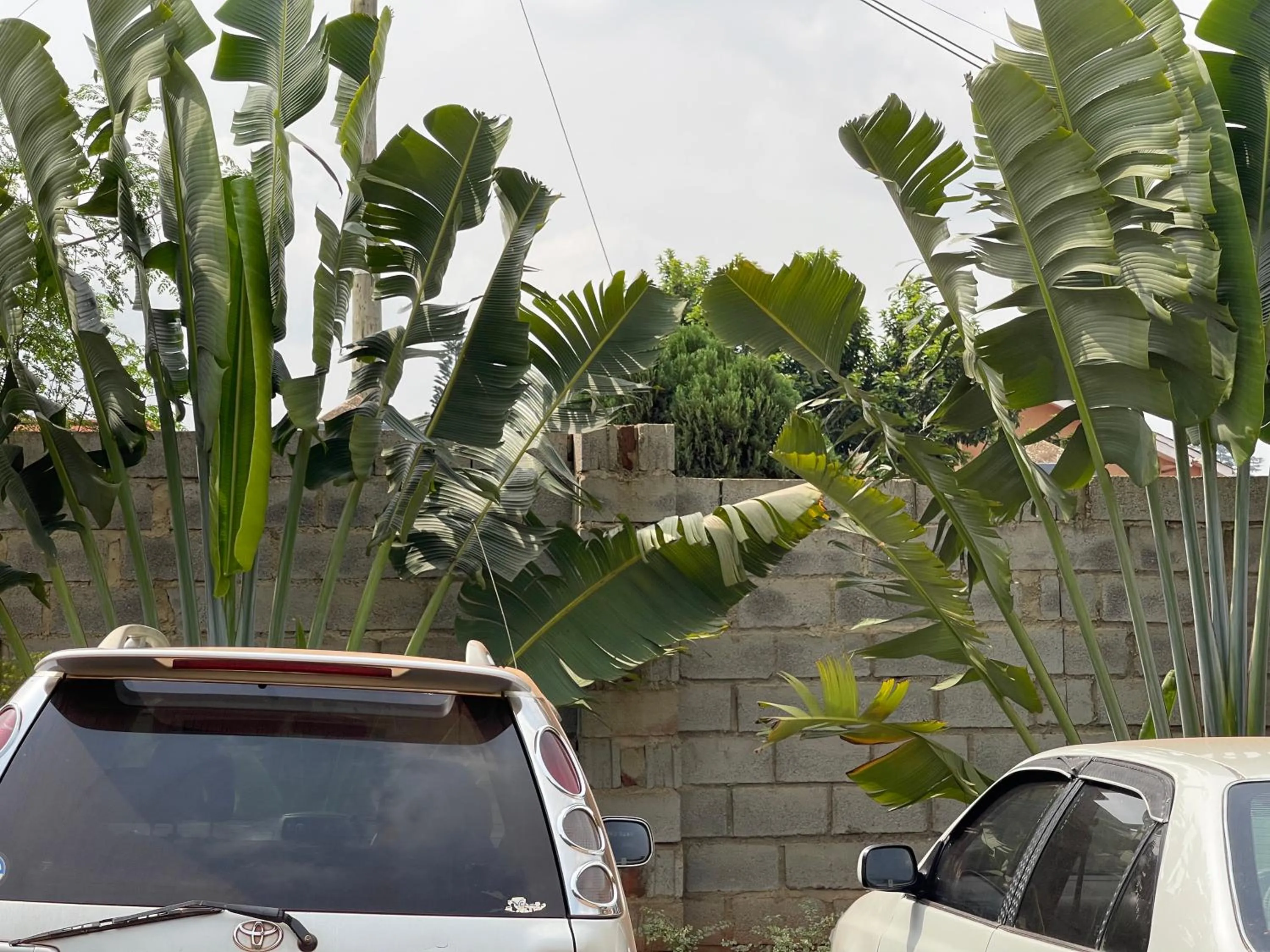 Day in Ashleys Hotel