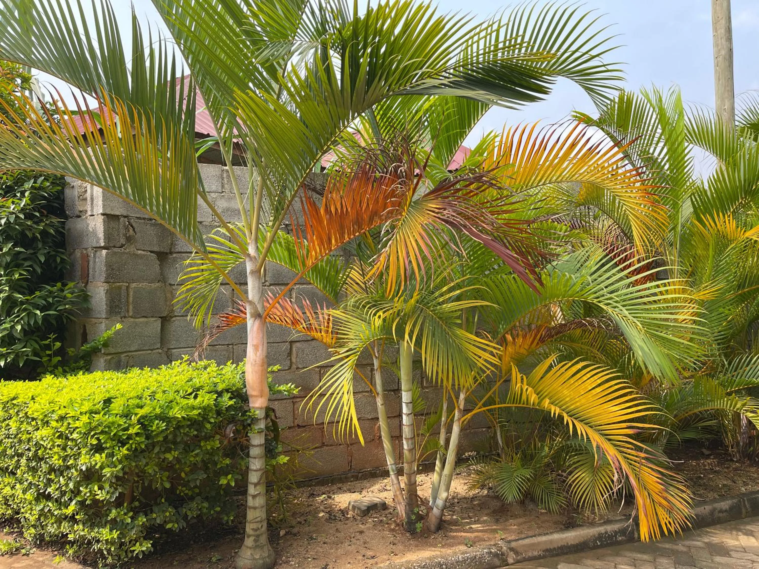 Day in Ashleys Hotel