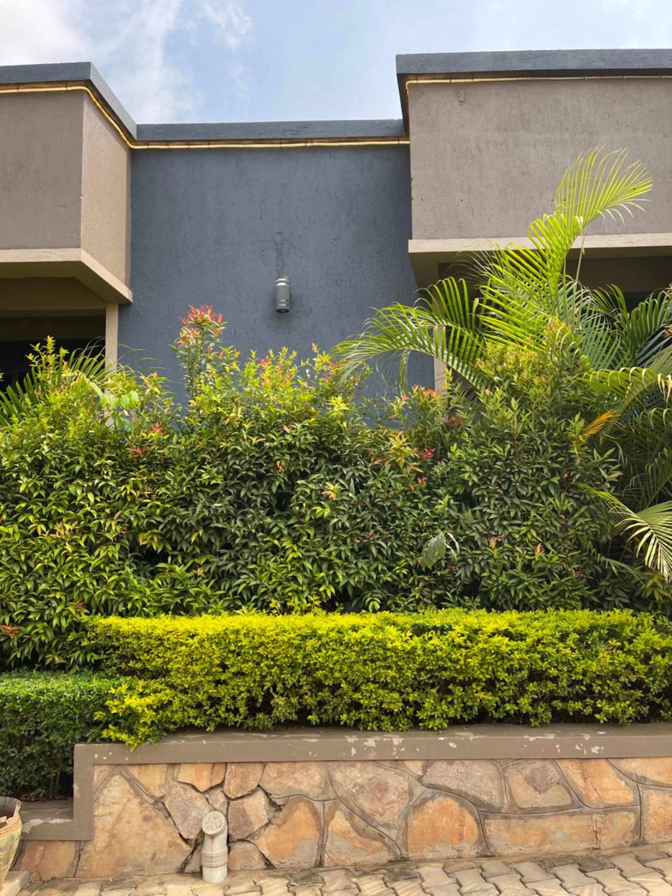 Property building in Ashleys Hotel