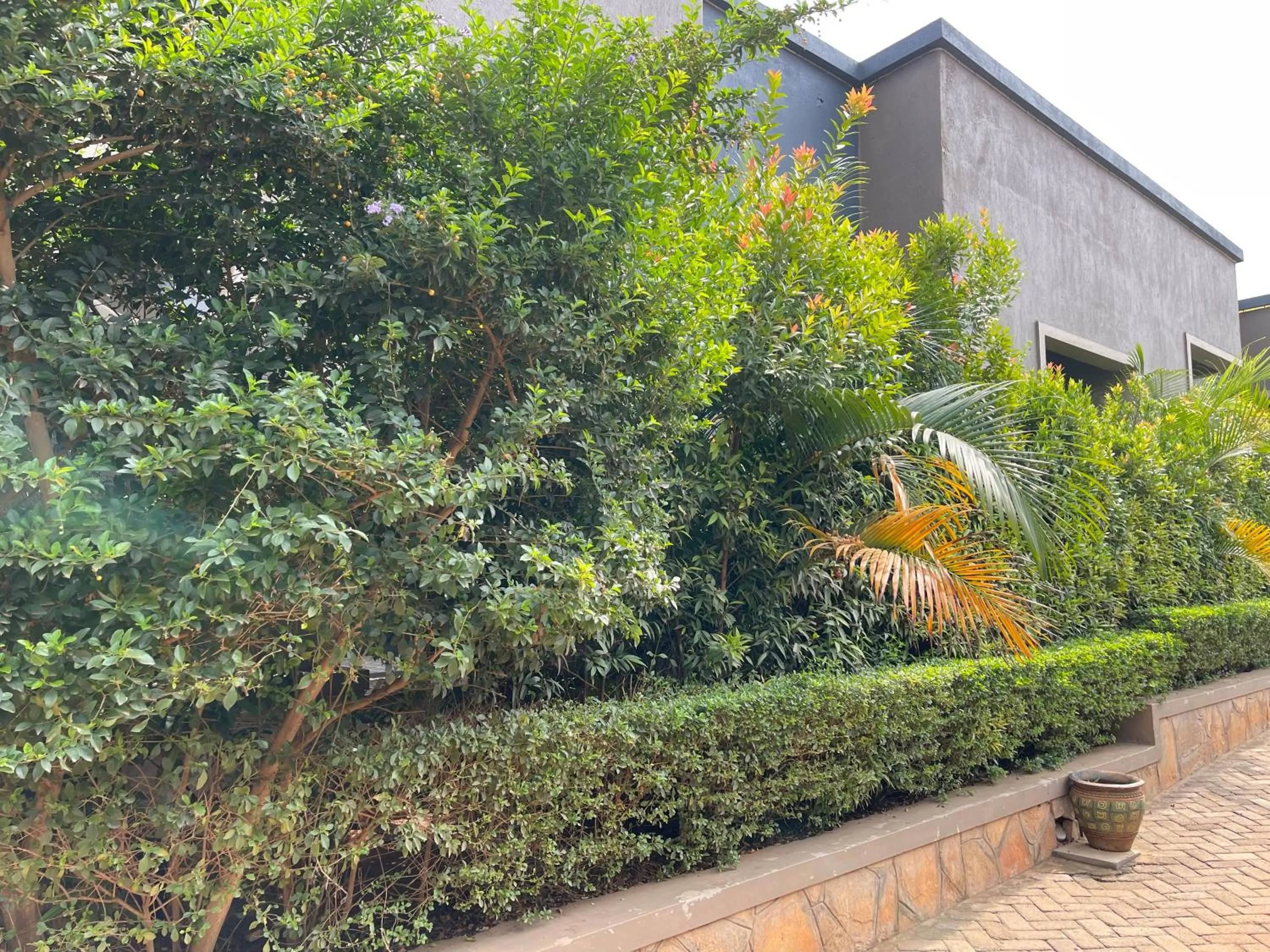 Day in Ashleys Hotel