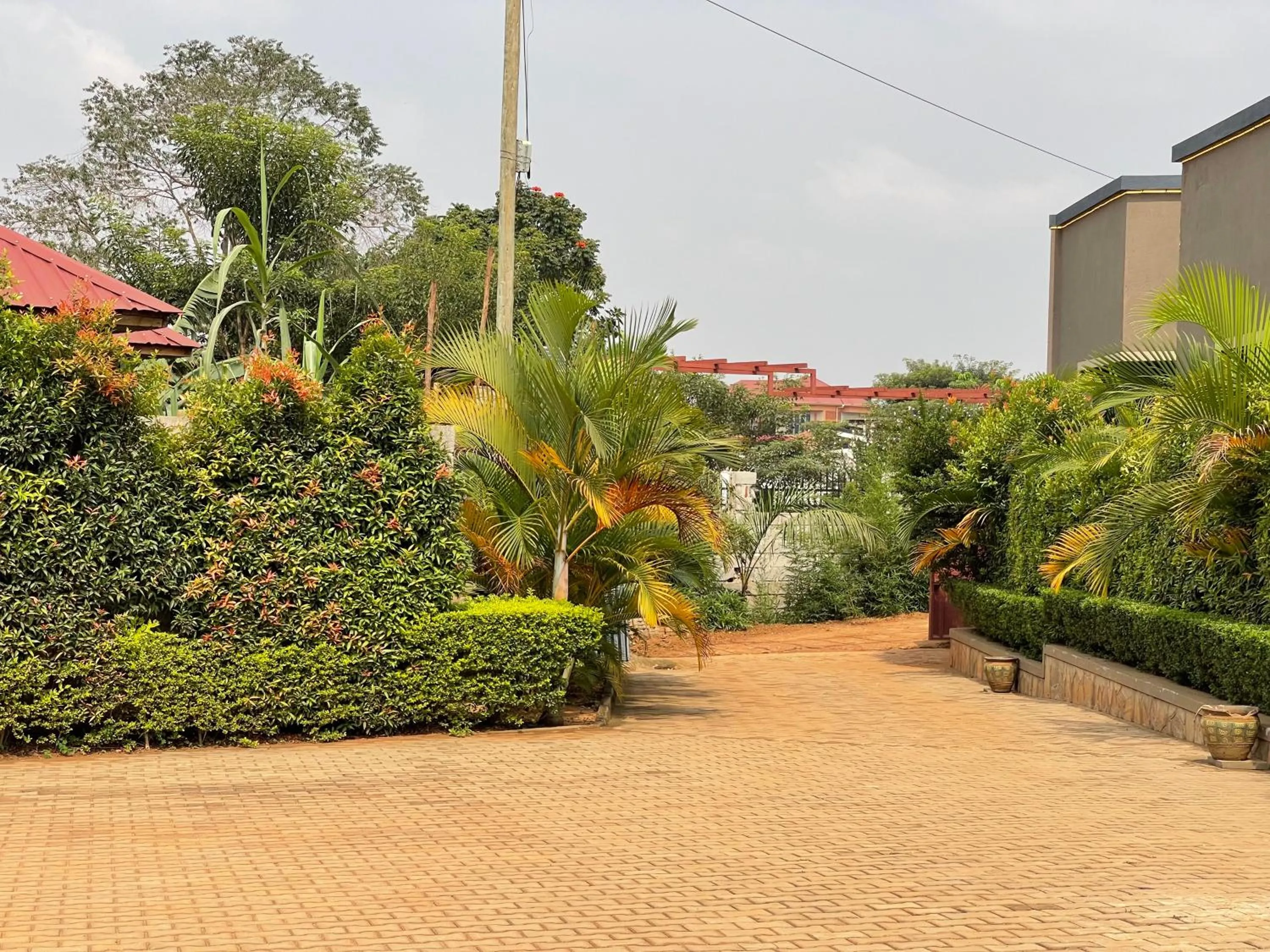 Natural landscape in Ashleys Hotel