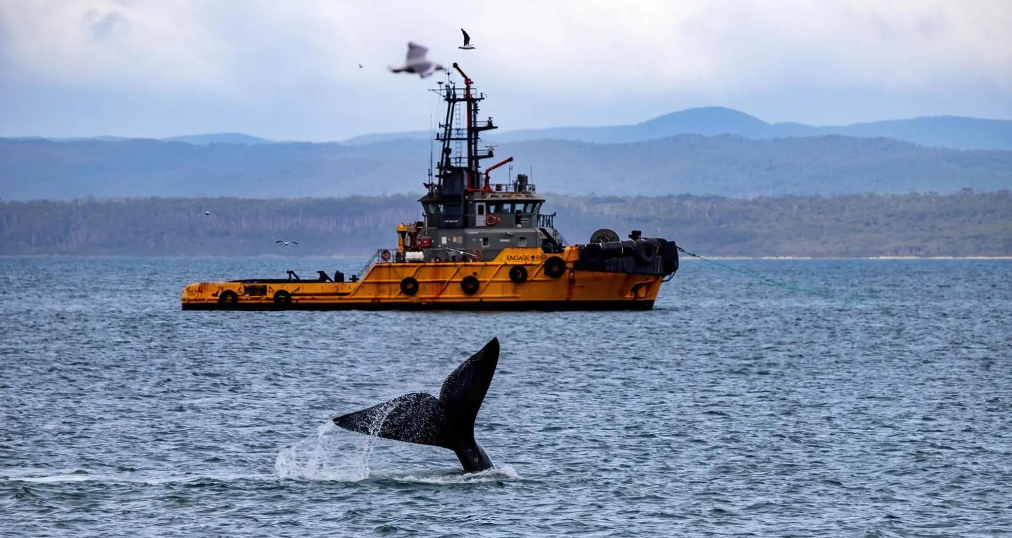 Beach in Poet's Cottage Stanley