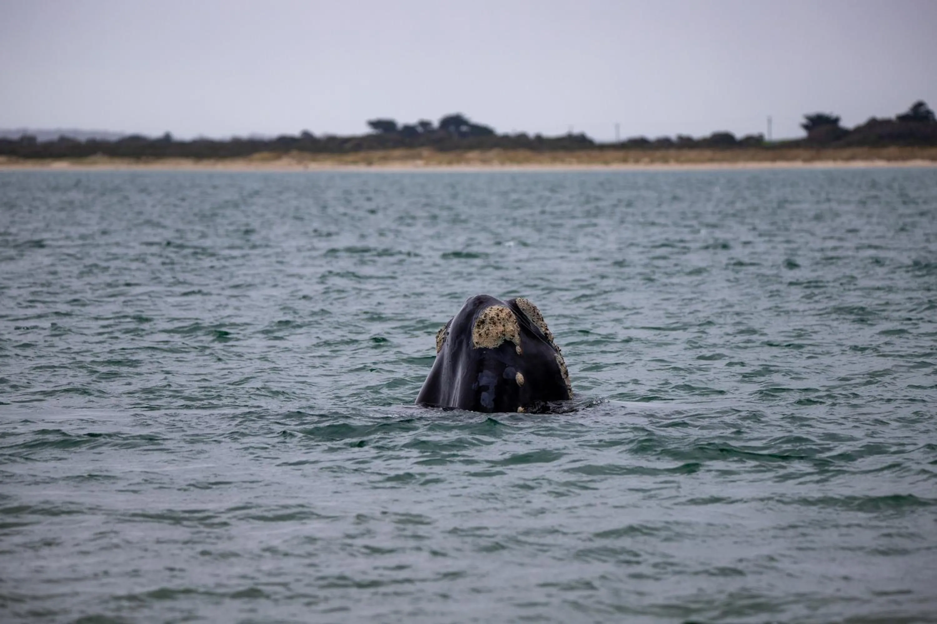 Beach in Poet's Cottage Stanley