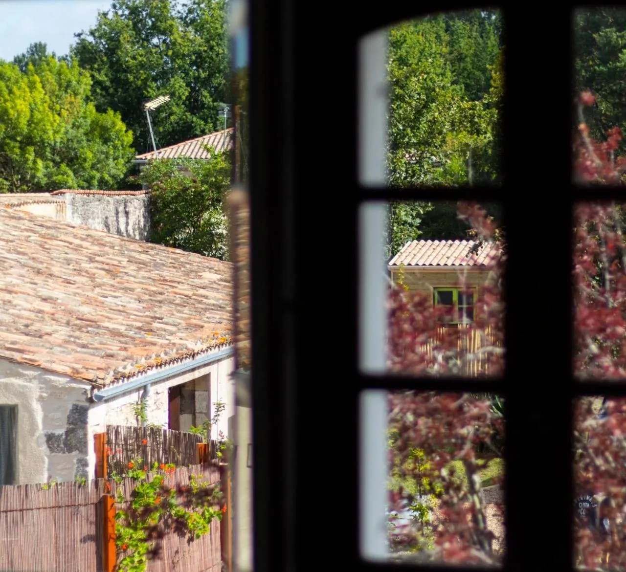 Garden view in Maison et table d'hôtes Le Camélia Blanc